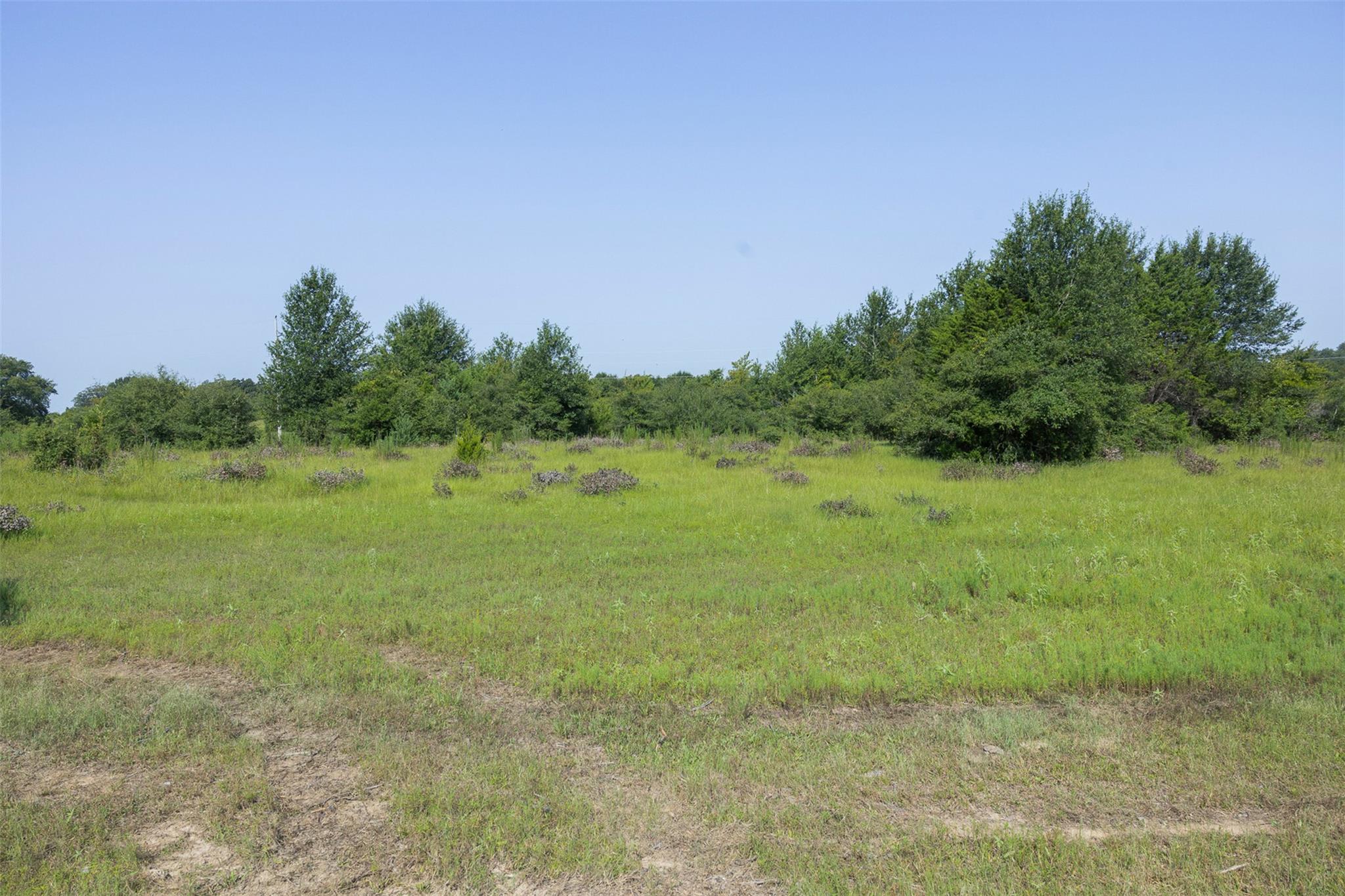 Tbd Fm 39 None Property Photo 14