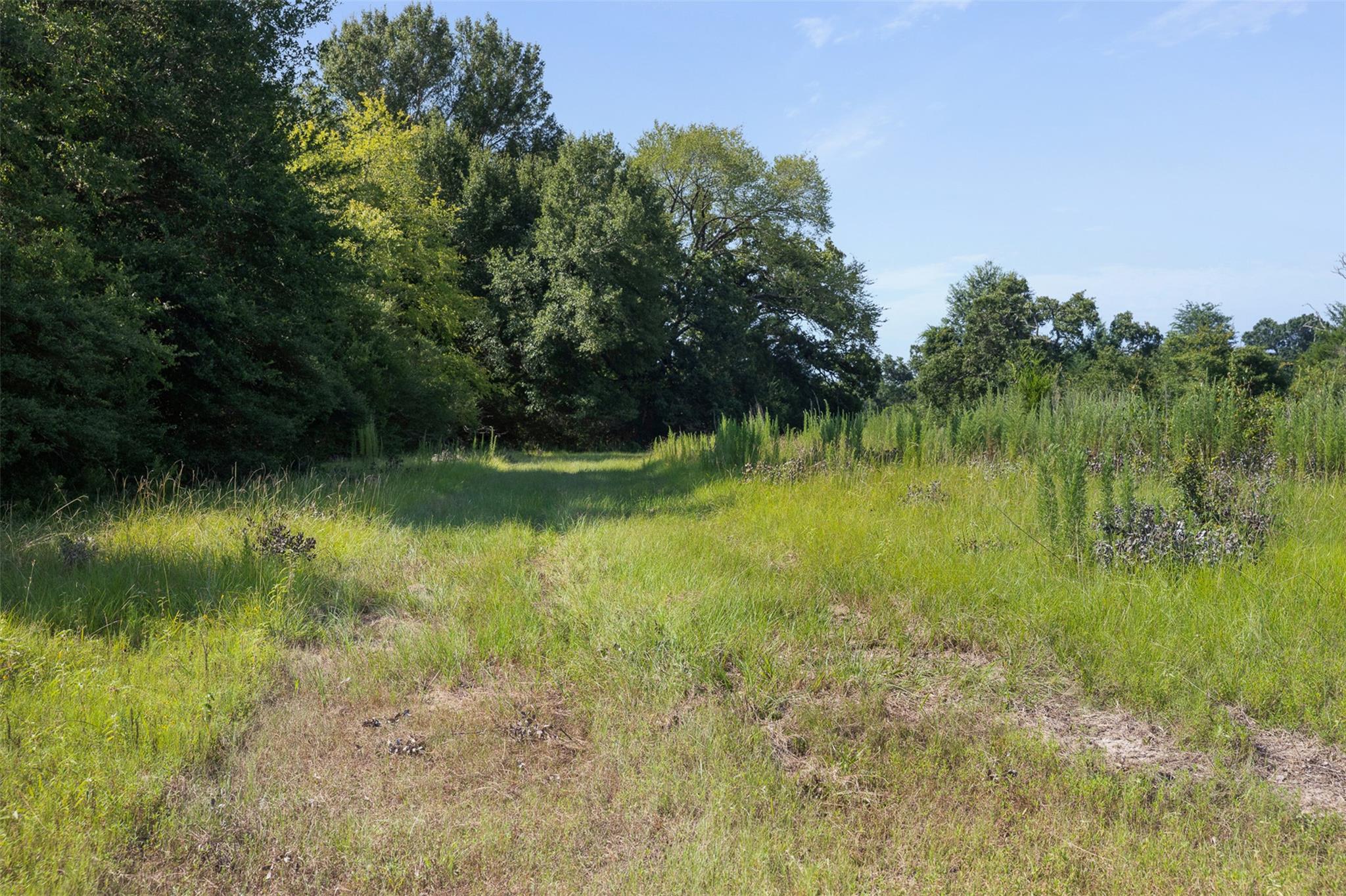 Tbd Fm 39 None Property Photo 15