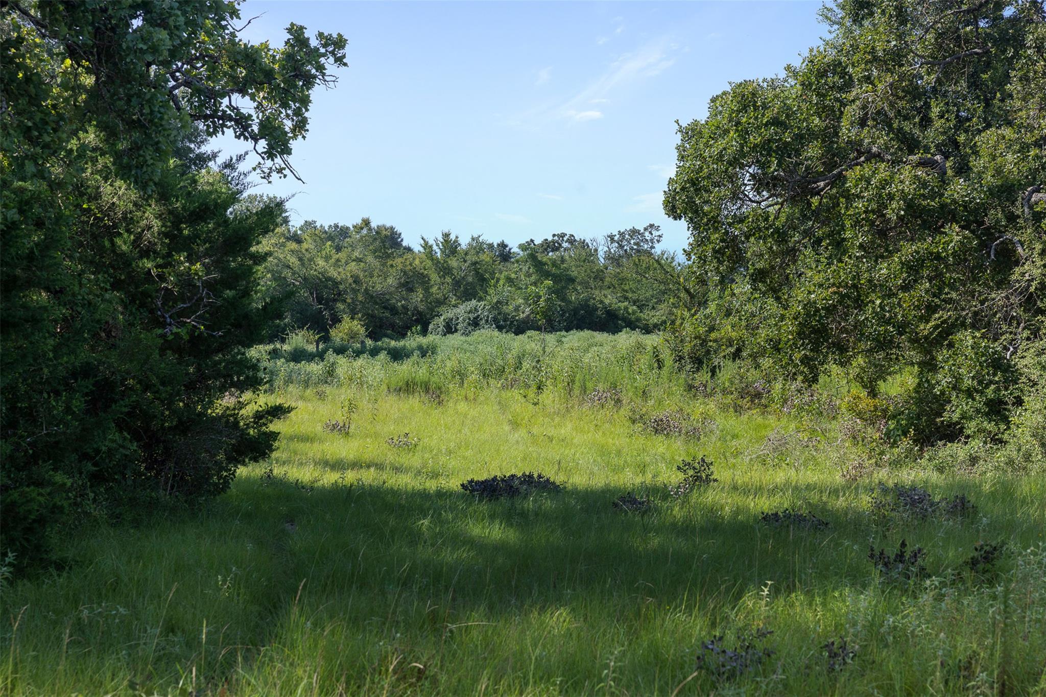 Tbd Fm 39 None Property Photo 16