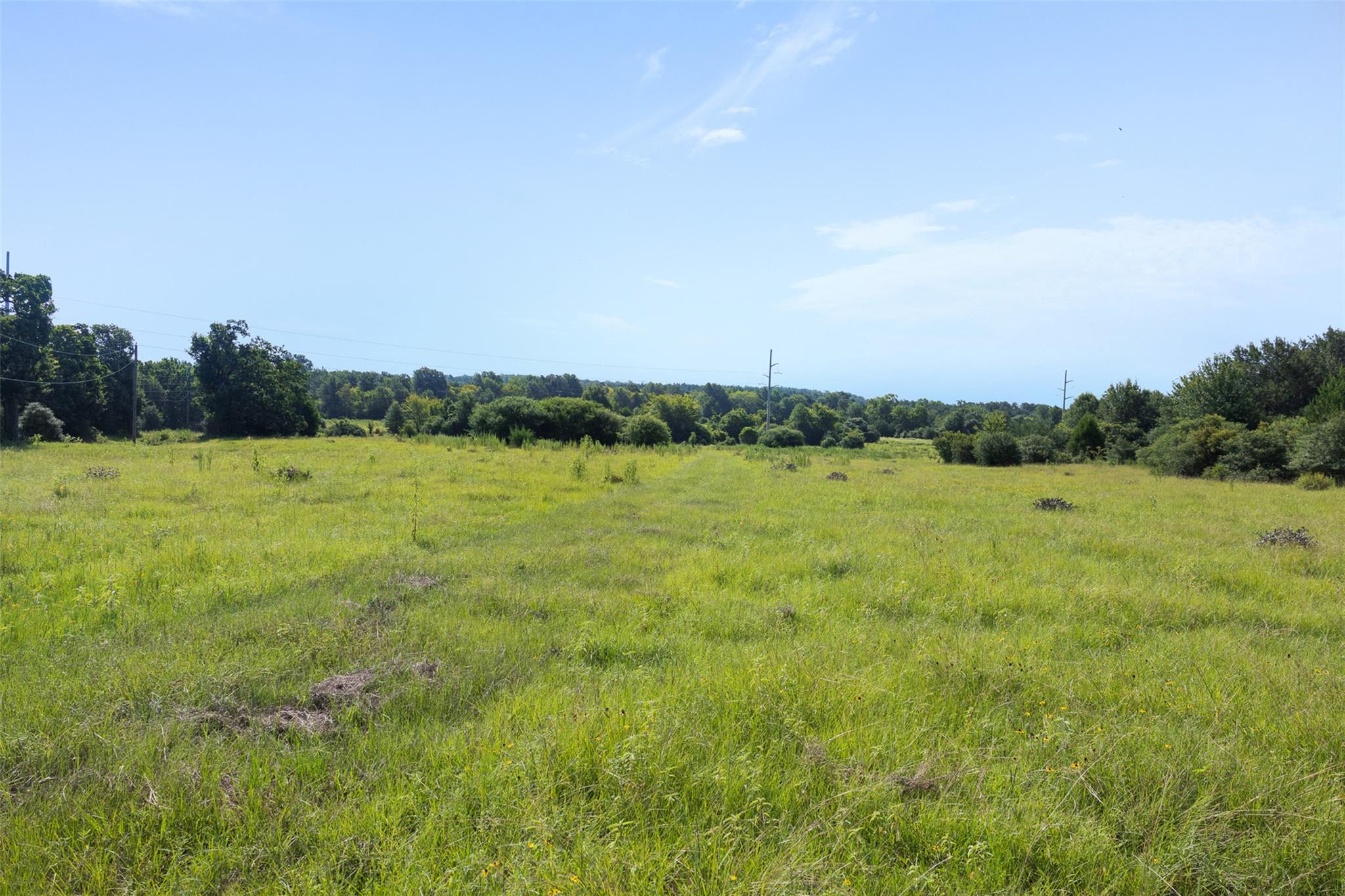 Tbd Fm 39 None Property Photo 18