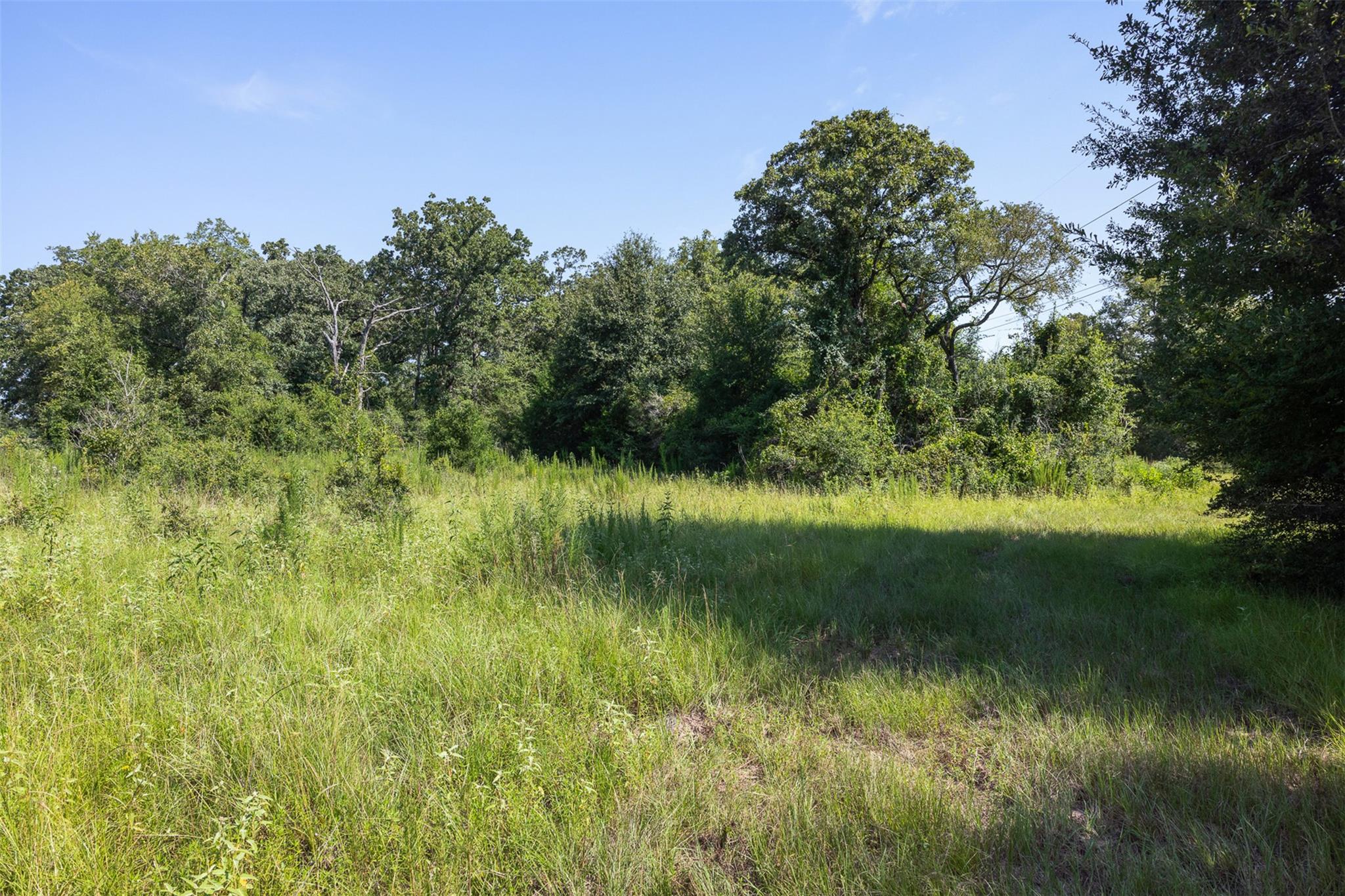 Tbd Fm 39 None Property Photo 19