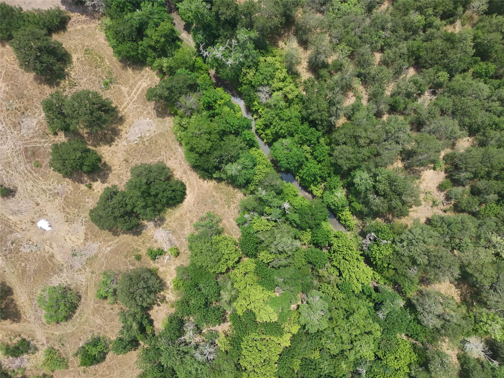 124 Valley Creek Dr None Property Photo 6