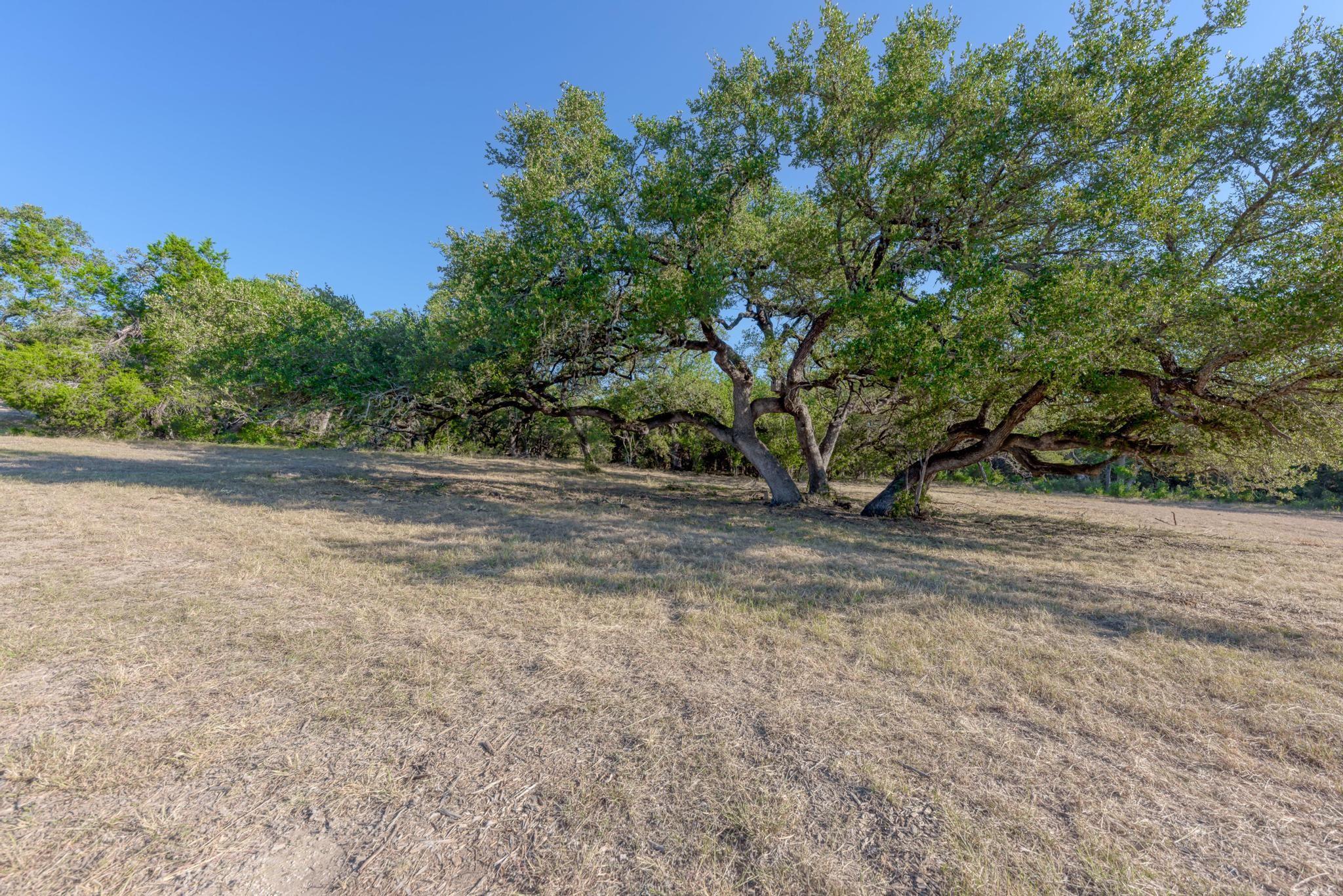 1805947 Property Photo 23