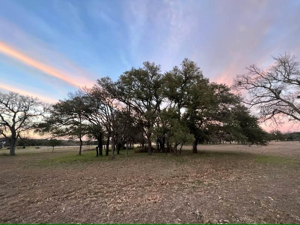 550 Morning Dew Dr Property Photo 3