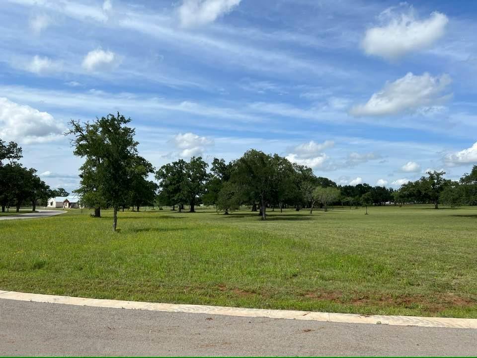 550 Morning Dew Dr Property Photo 5