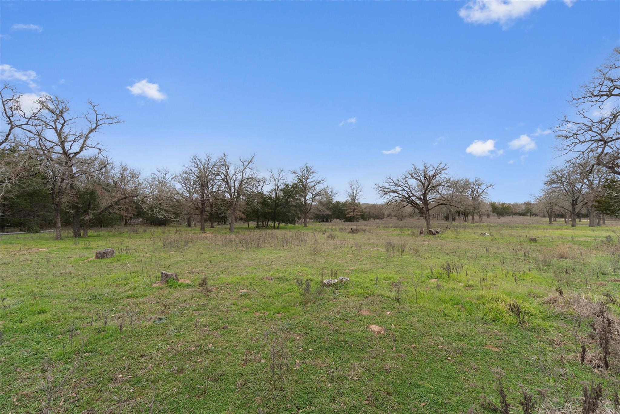1110 Fm 812 Property Photo 24
