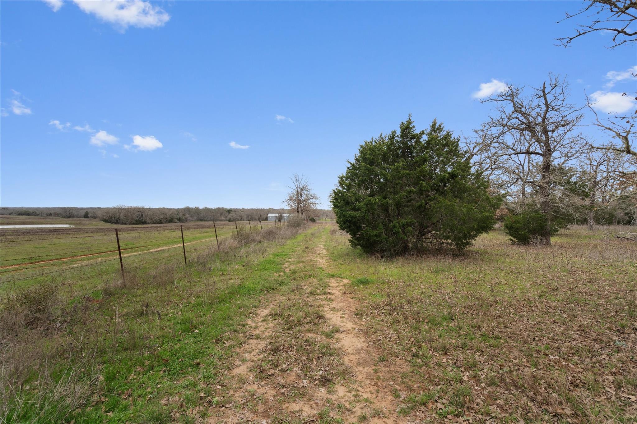 1110 Fm 812 Property Photo 27