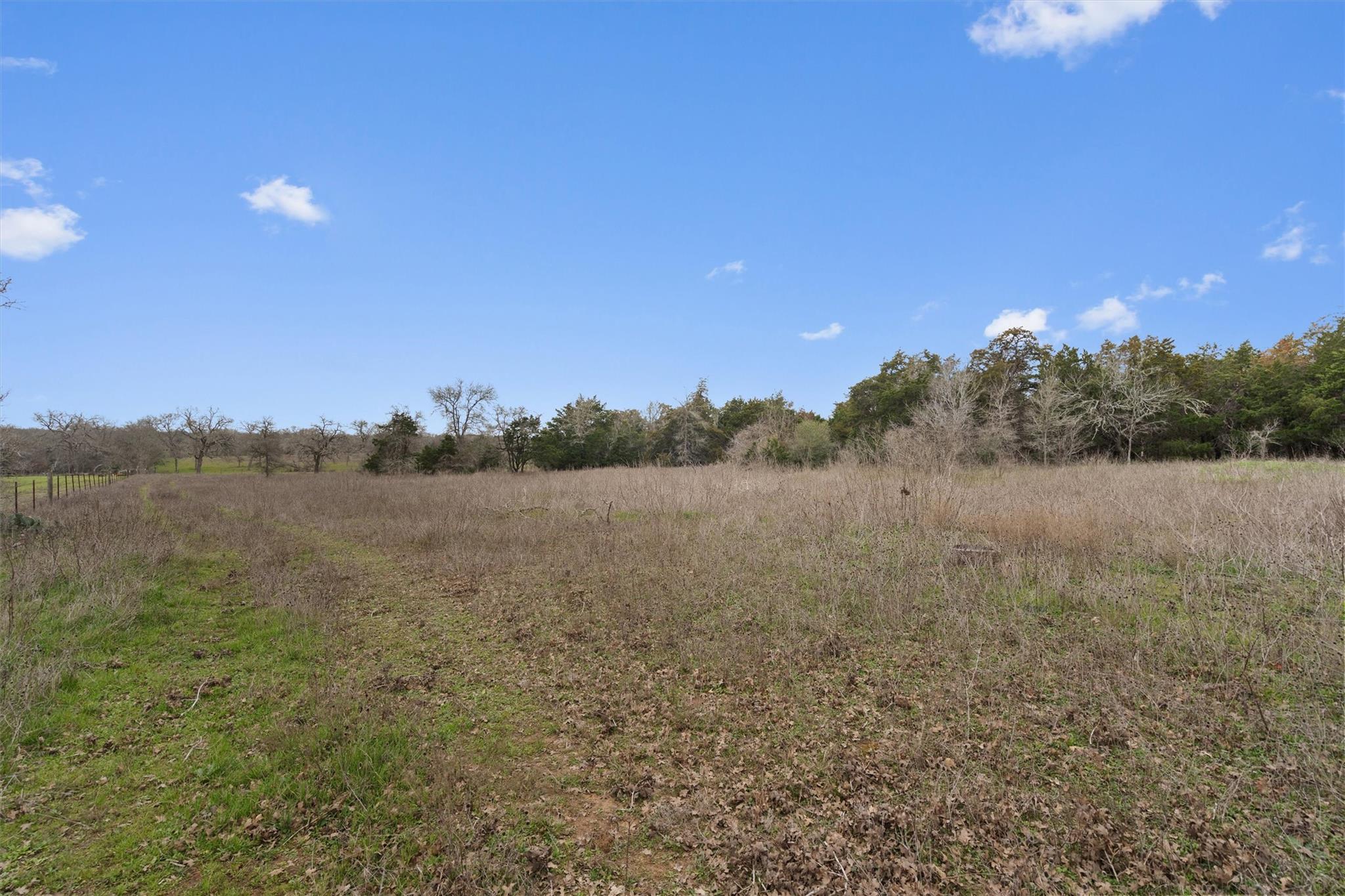 1110 Fm 812 Property Photo 28