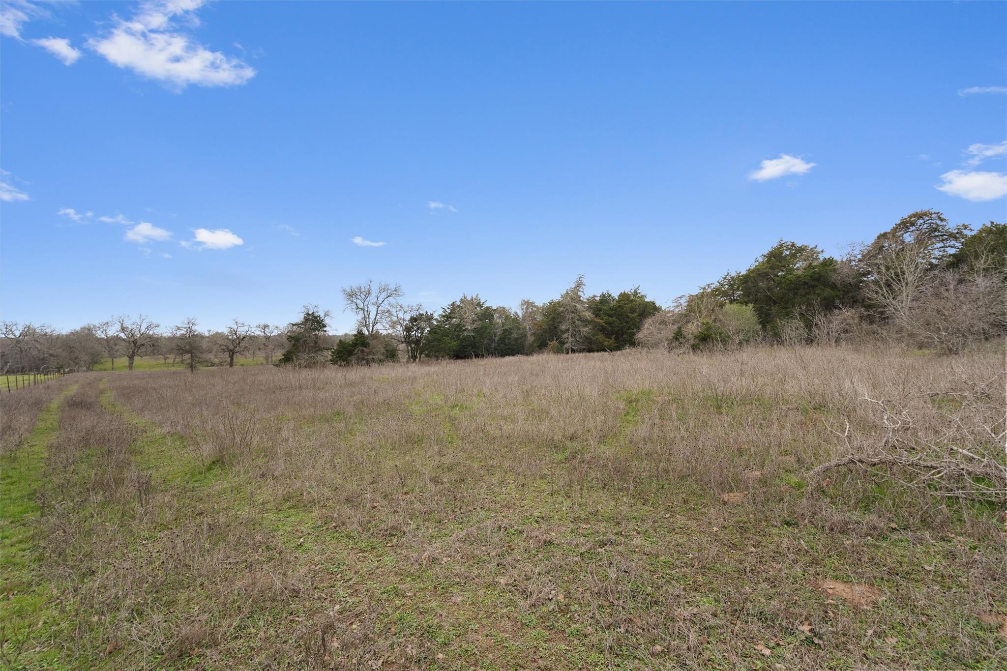 1110 Fm 812 Property Photo 29