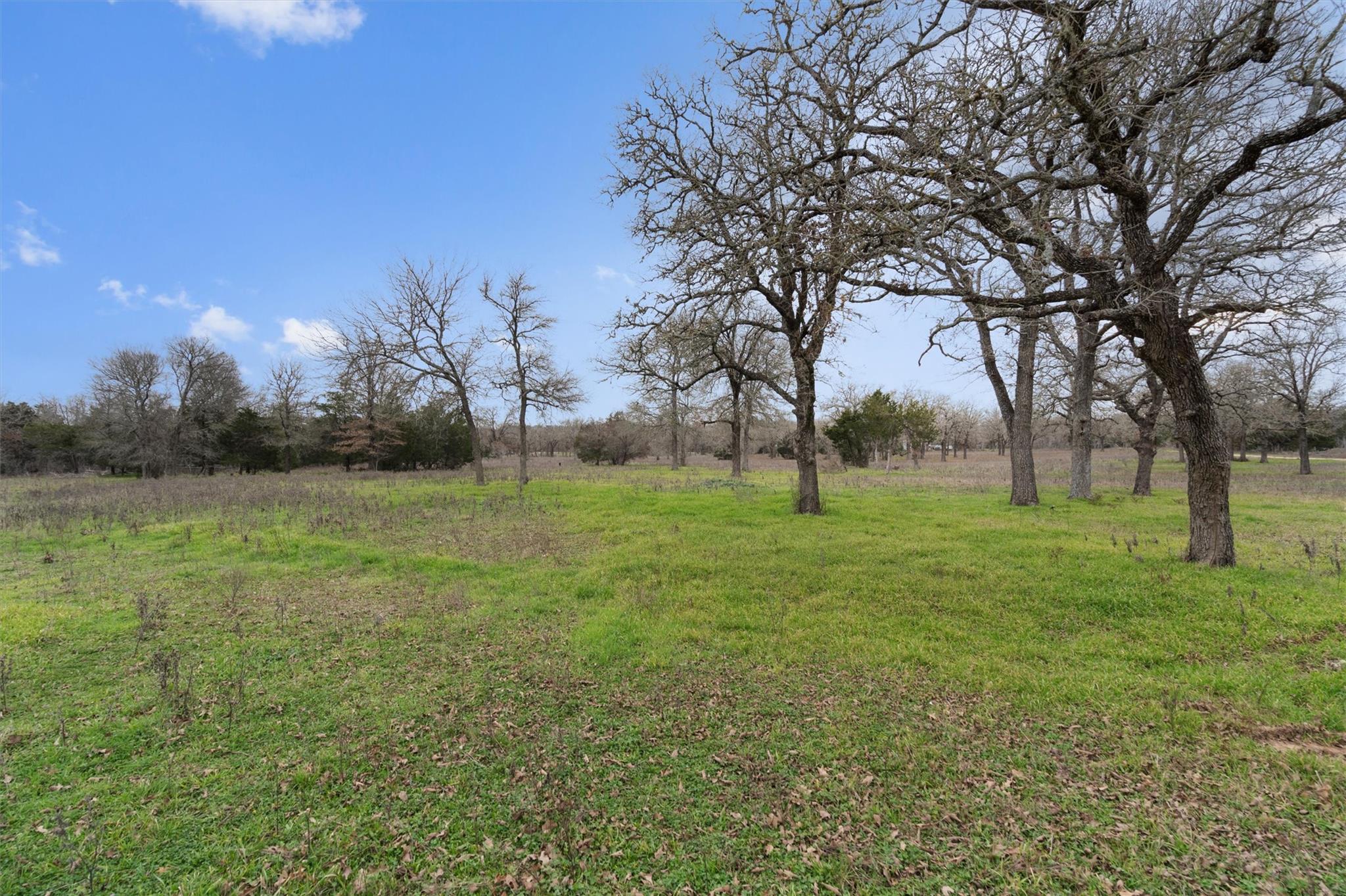 1110 Fm 812 Property Photo 30