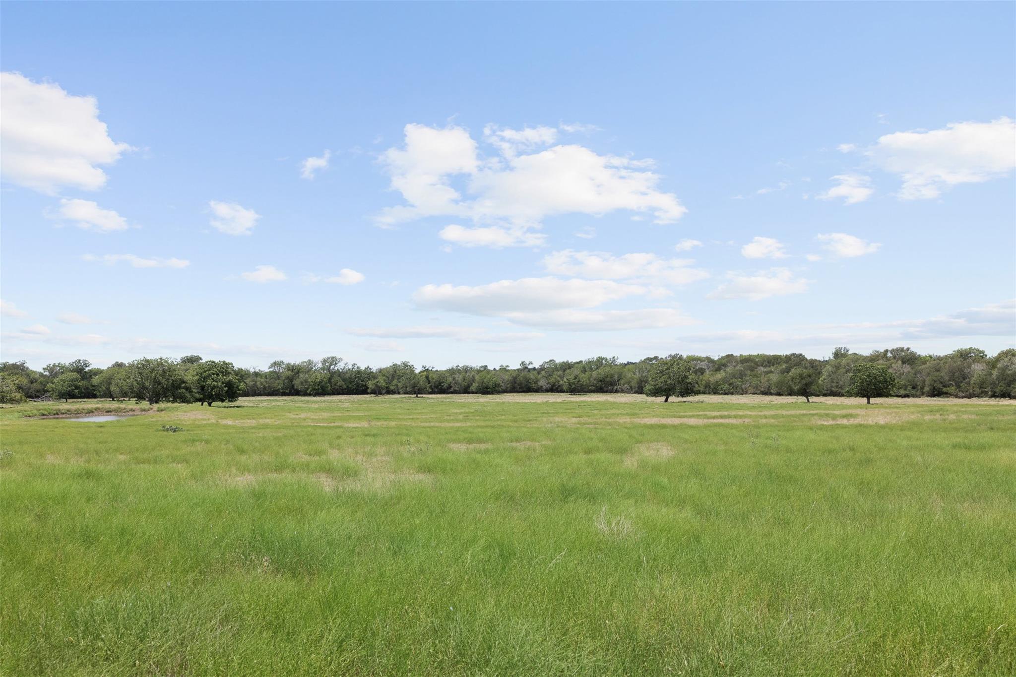 Tract 2 Fm 3158 None Property Photo 5