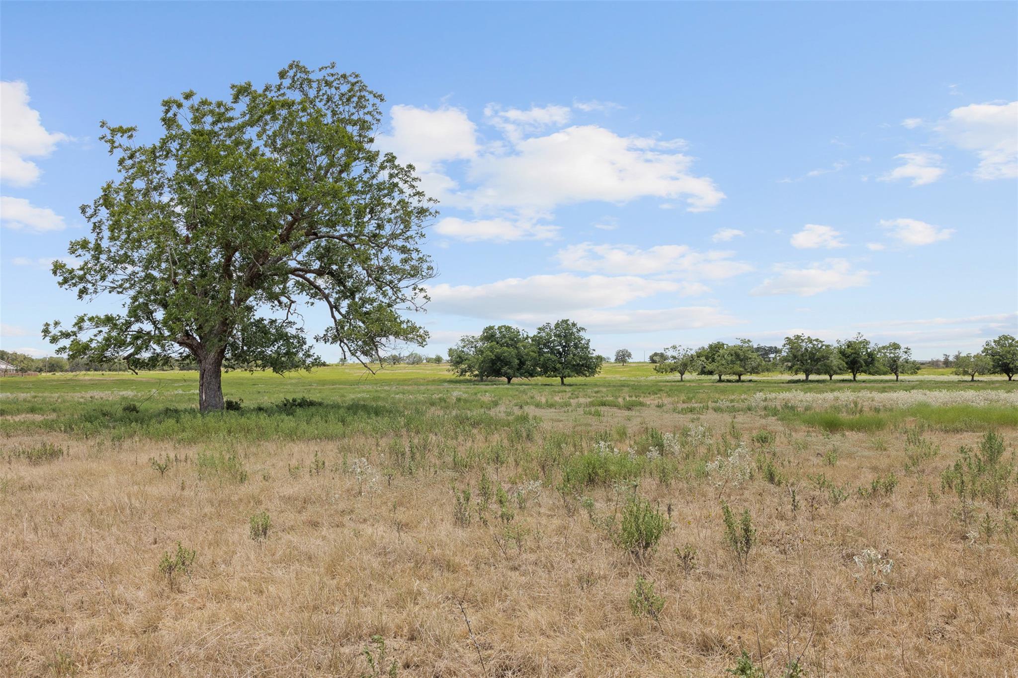 Tract 2 Fm 3158 None Property Photo 7