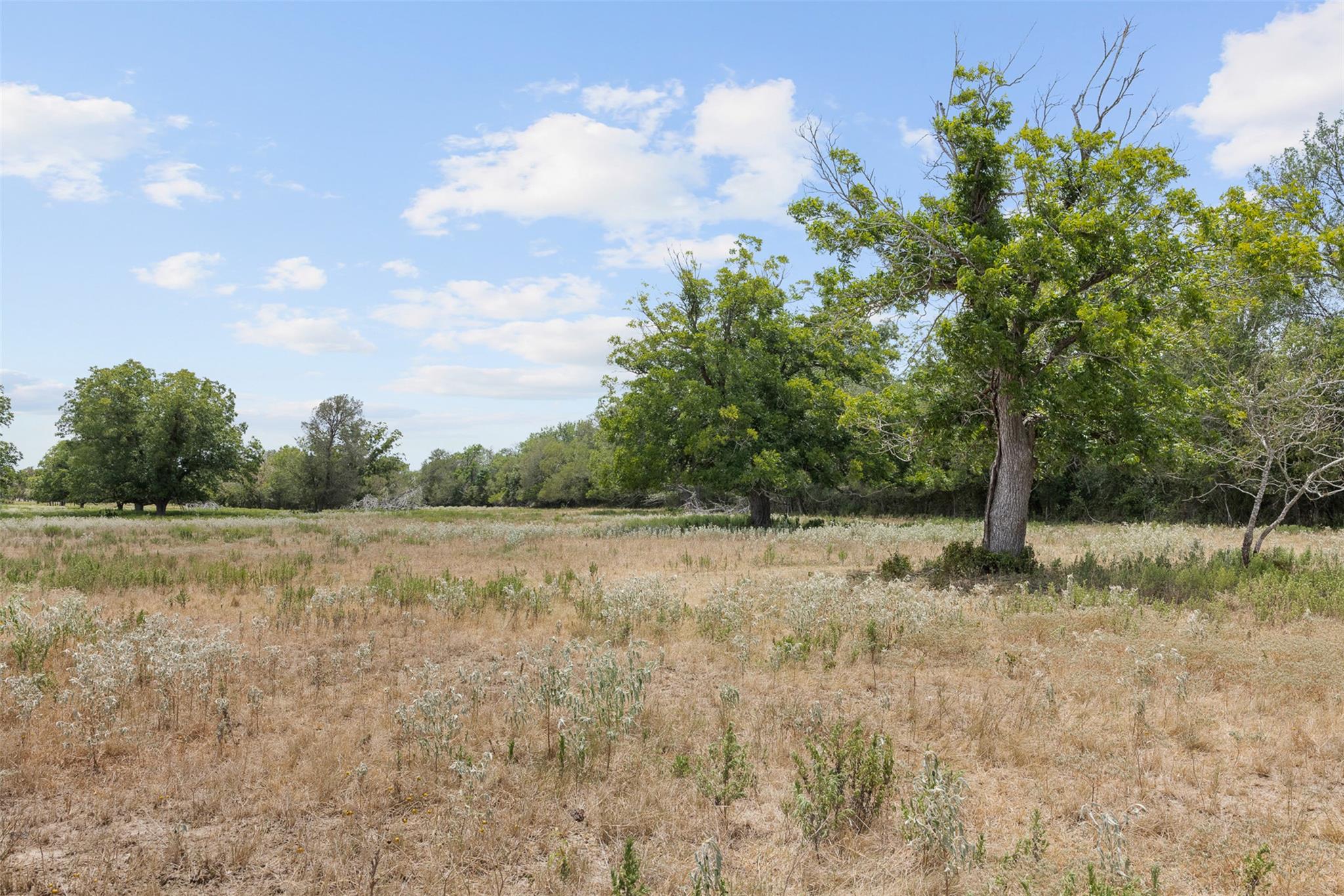 Tract 2 Fm 3158 None Property Photo 8