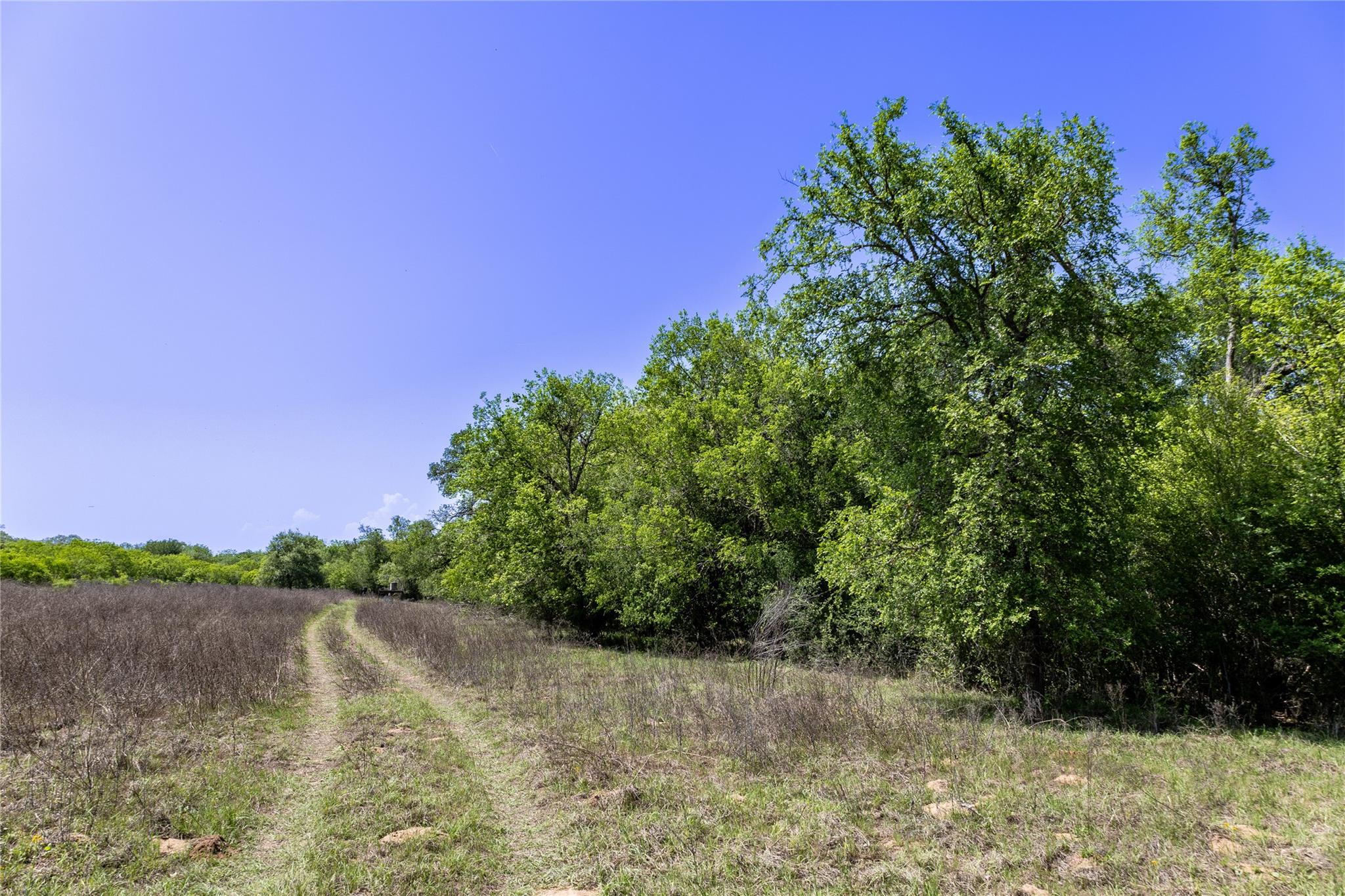 2990 Fm 467 Property Photo 3
