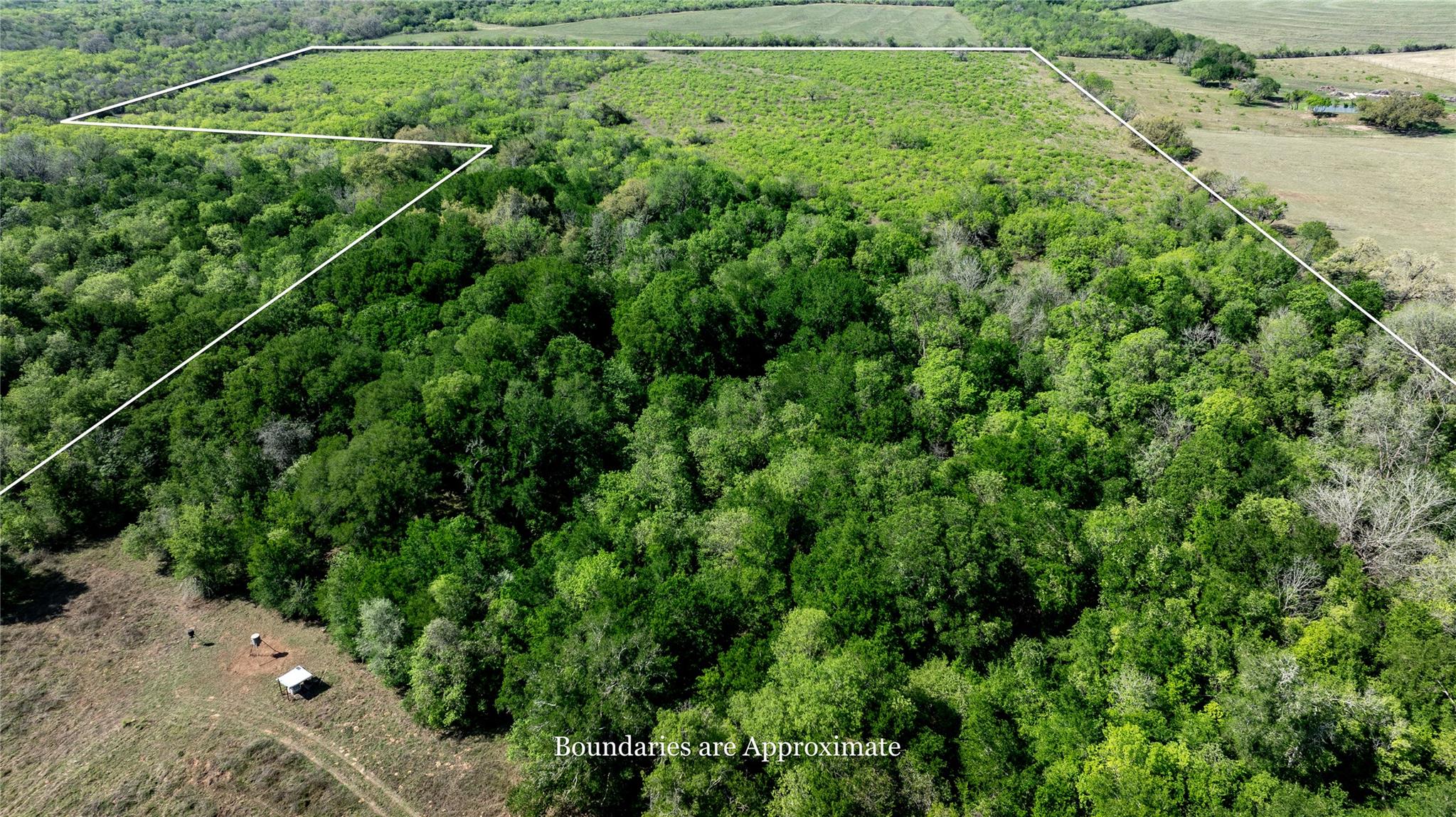 2990 Fm 467 Property Photo 10
