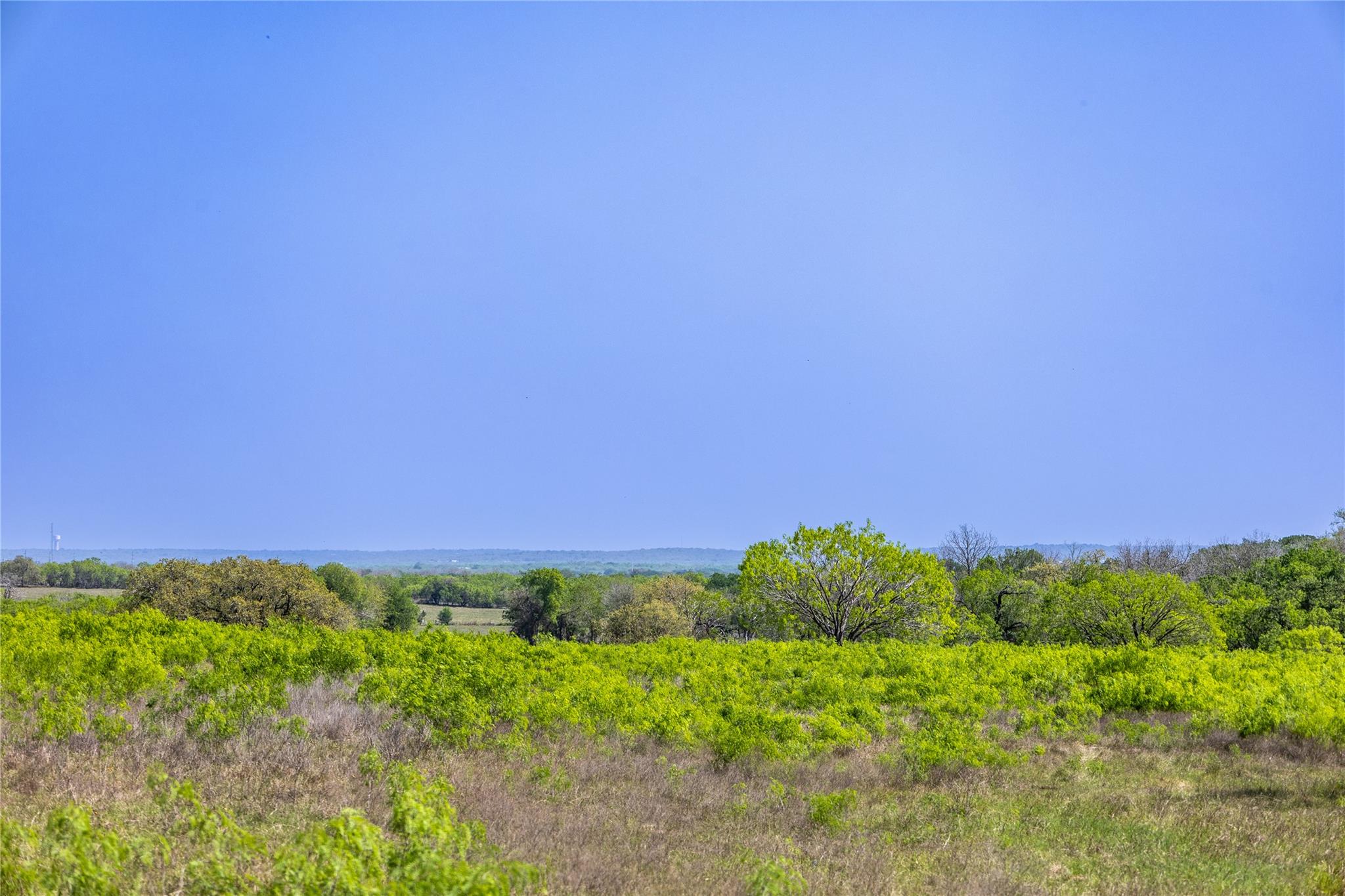 2990 Fm 467 Property Photo 11