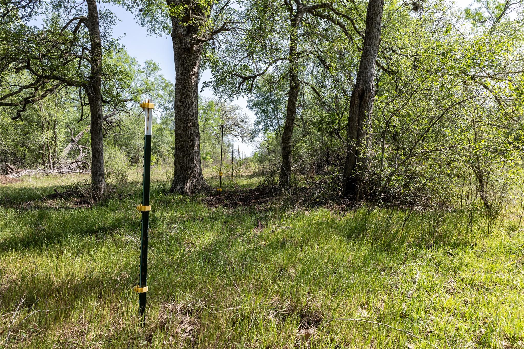 2990 Fm 467 Property Photo 31