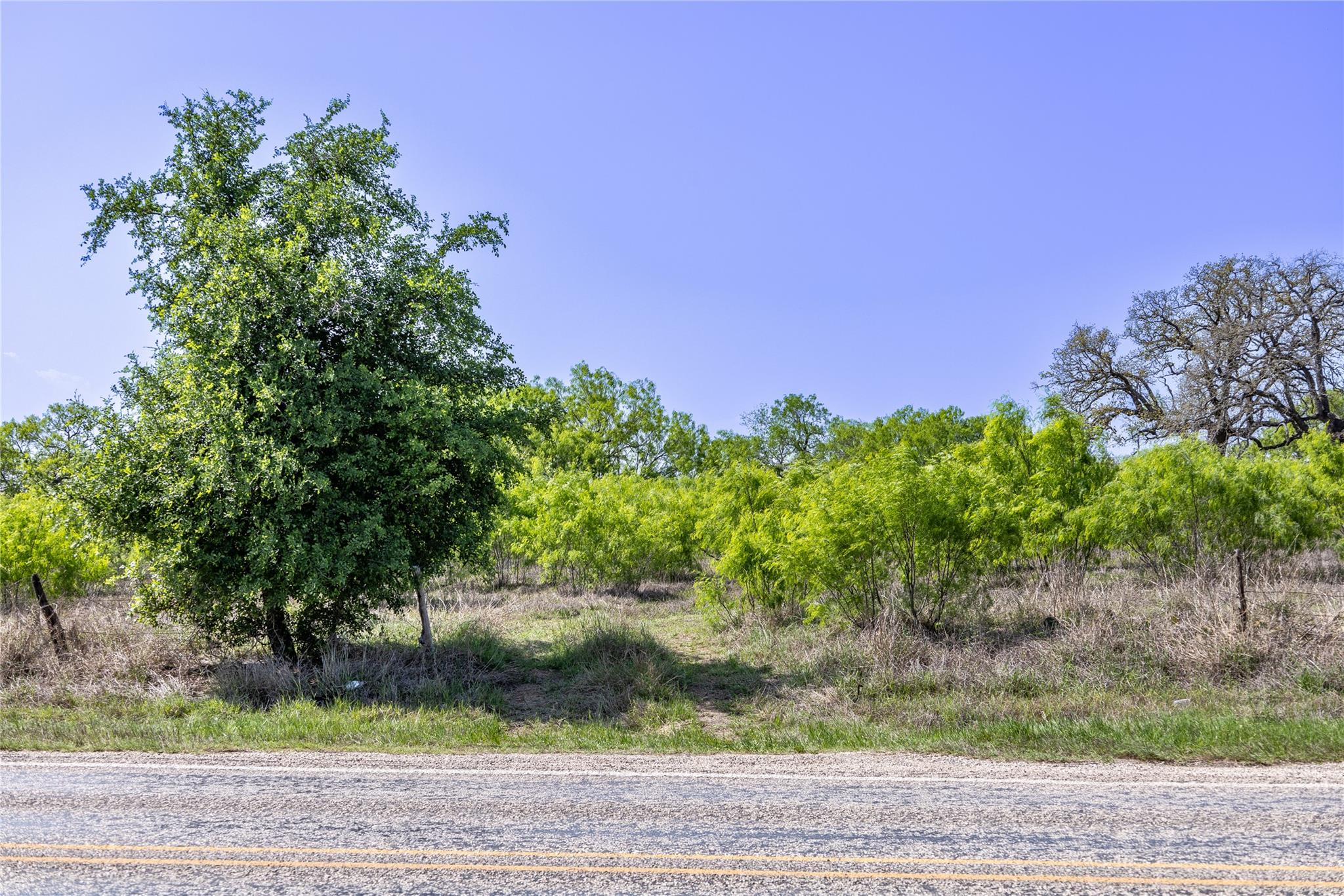 2990 Fm 467 Property Photo 34