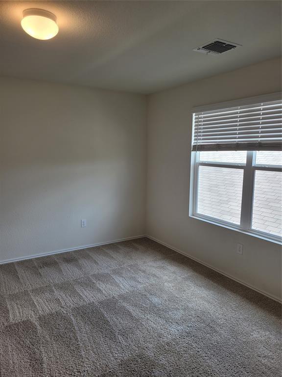 14917 Gypsum Mill Rd Property Photo 29