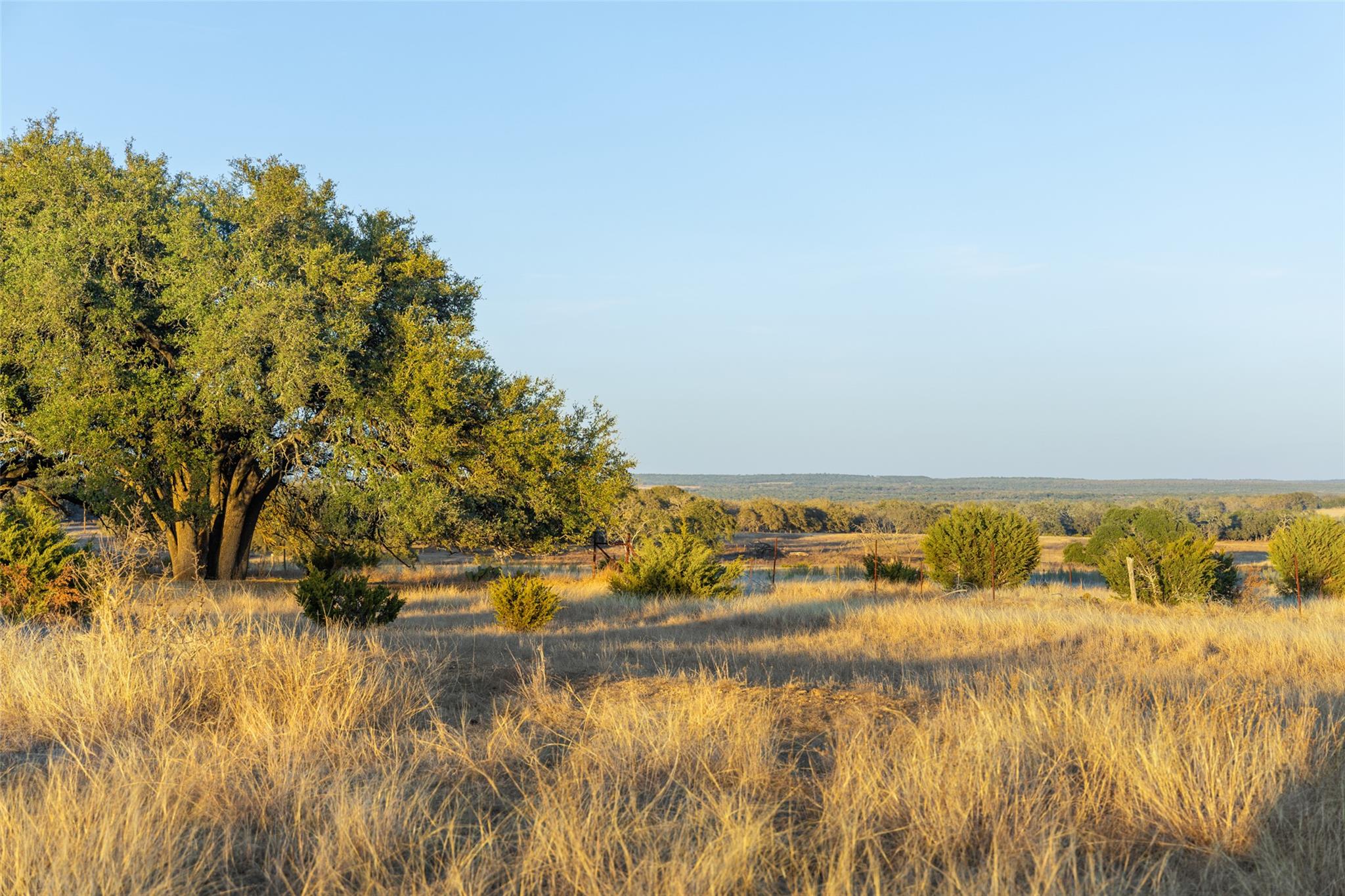 Tbd Terra Rosa Ln Property Photo 3