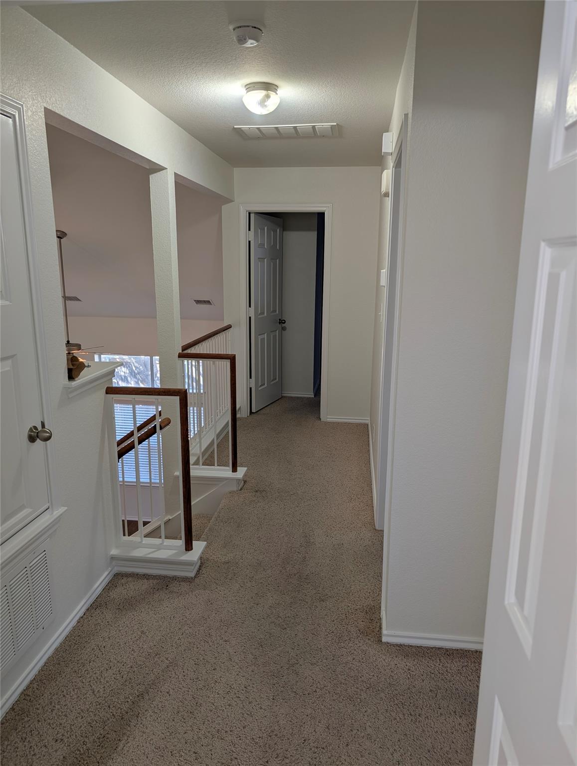 13608 Oystercatcher Dr Property Photo 14