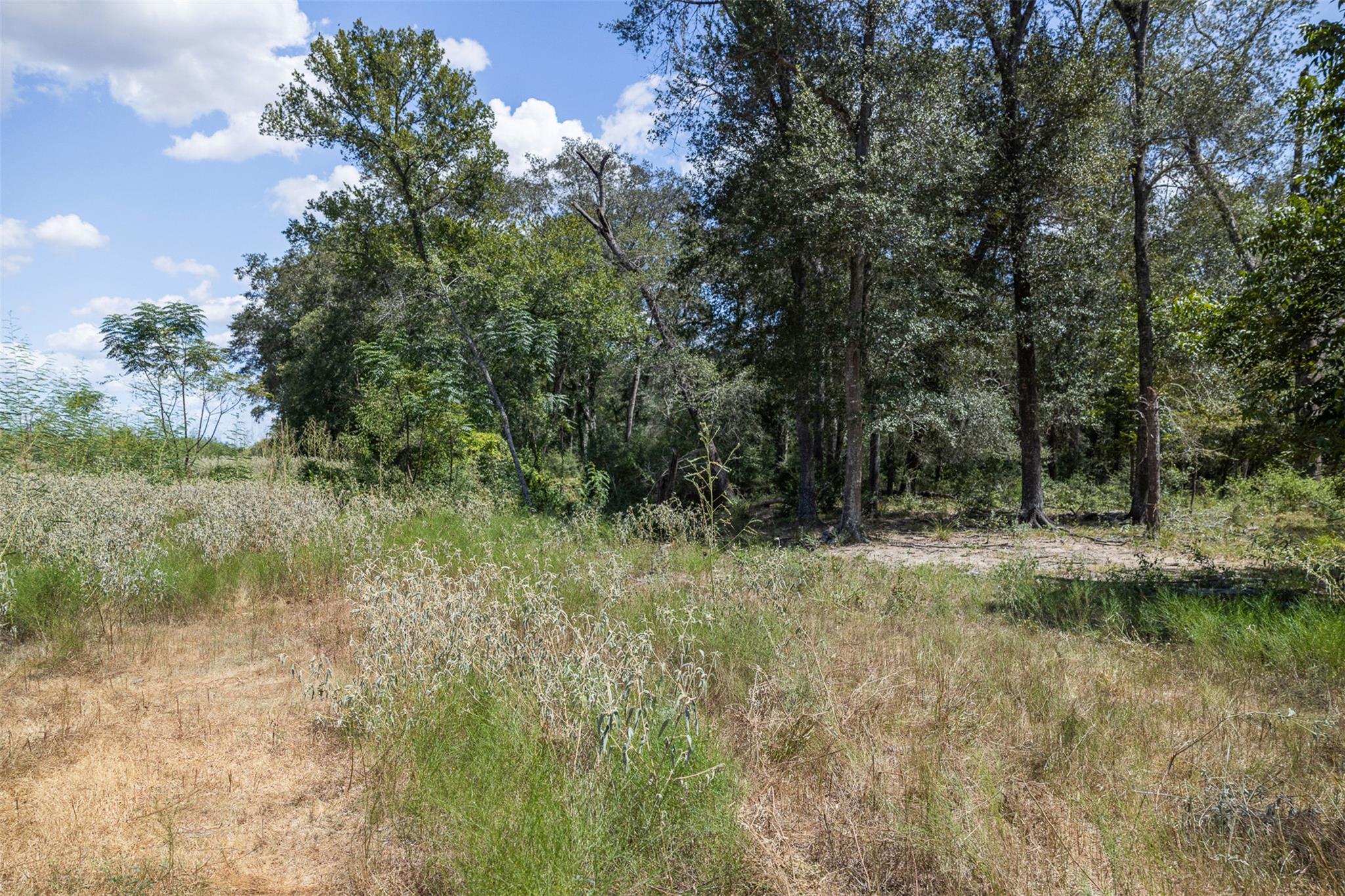 4242 Fm 1680 None Property Photo 14