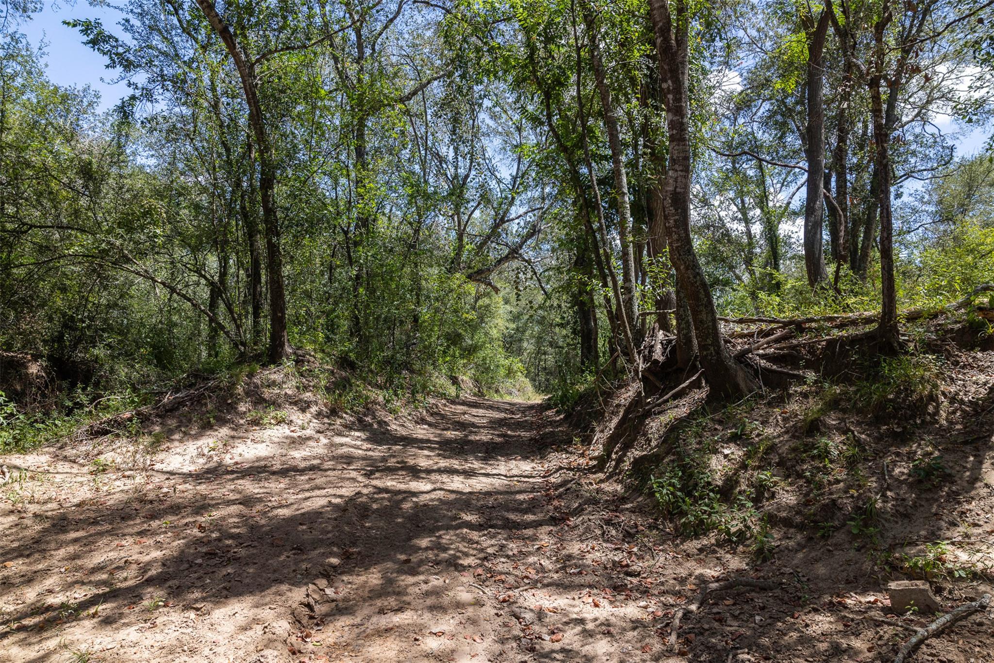 4242 Fm 1680 None Property Photo 22