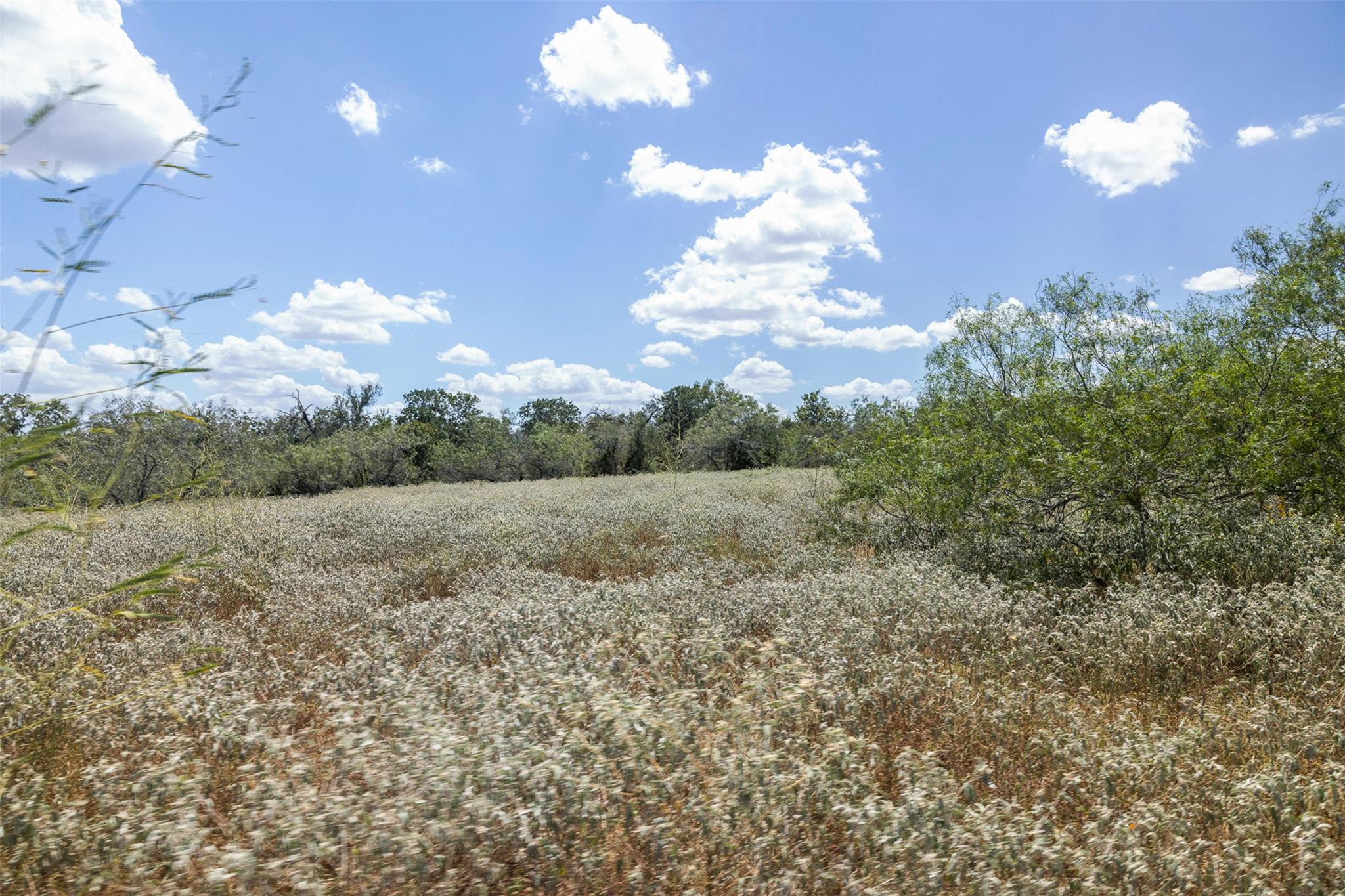 4242 Fm 1680 None Property Photo 25