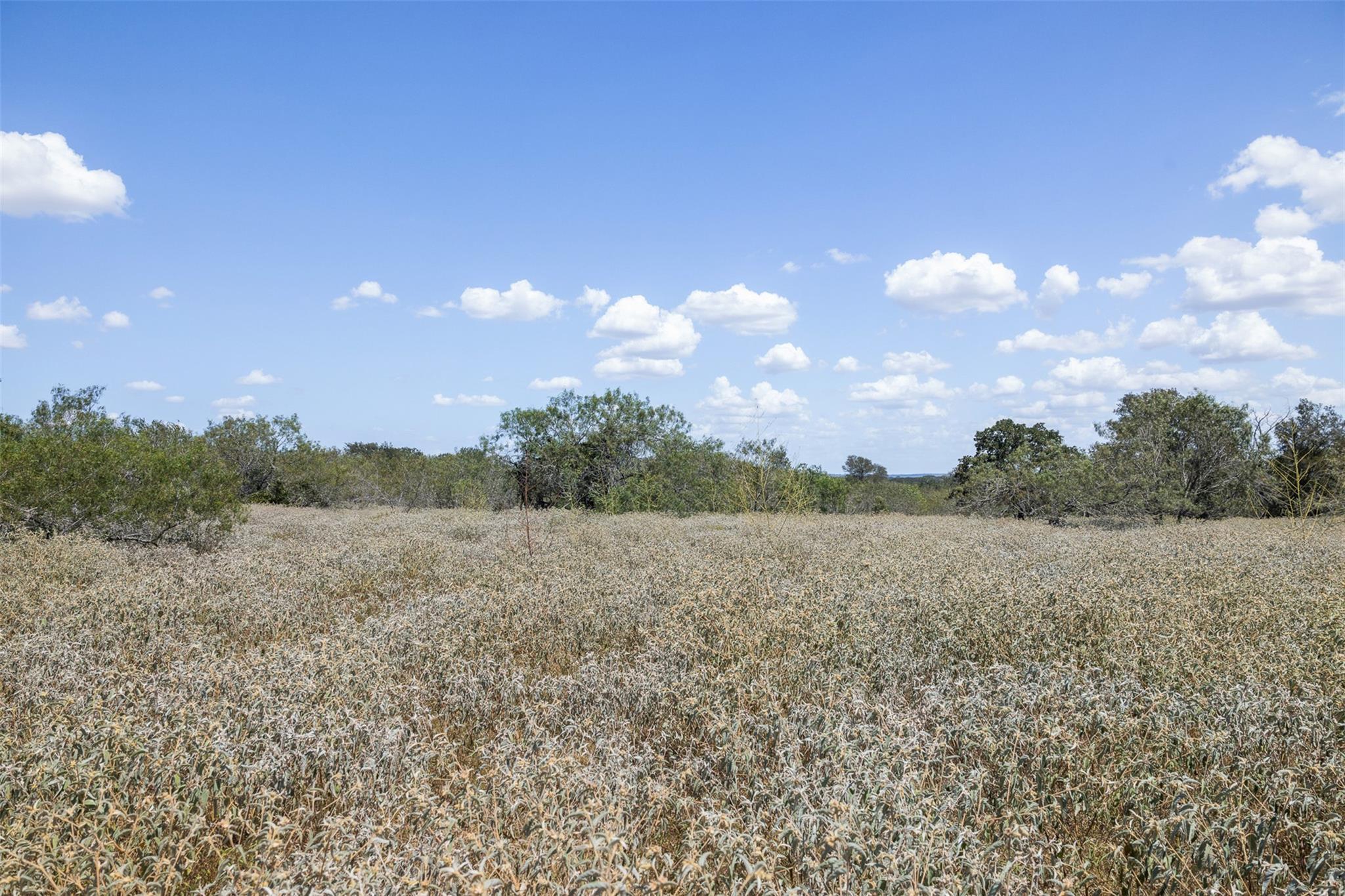 4242 Fm 1680 None Property Photo 27