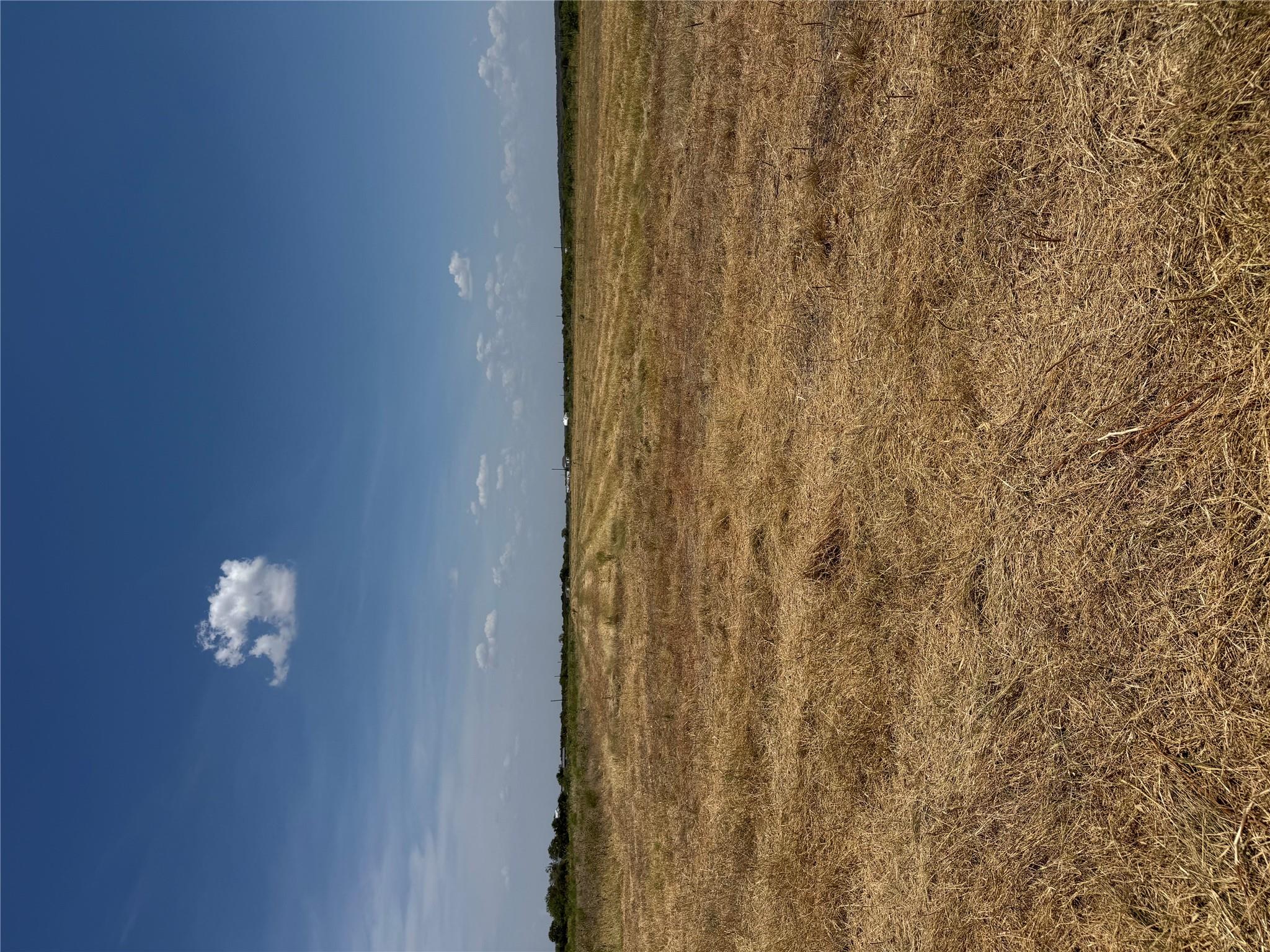 1875 County Road 273 None Property Photo 6