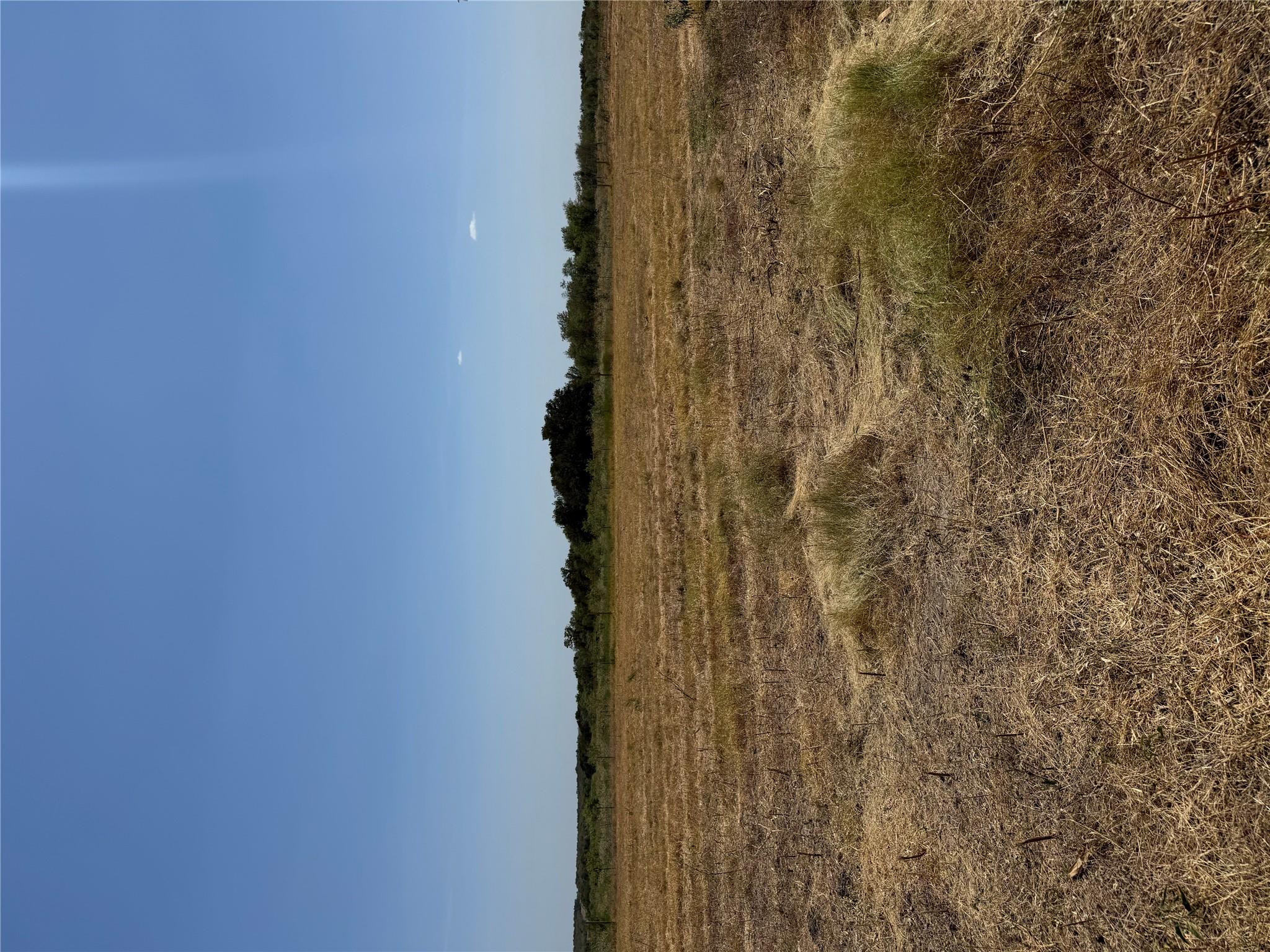 1875 County Road 273 None Property Photo 7