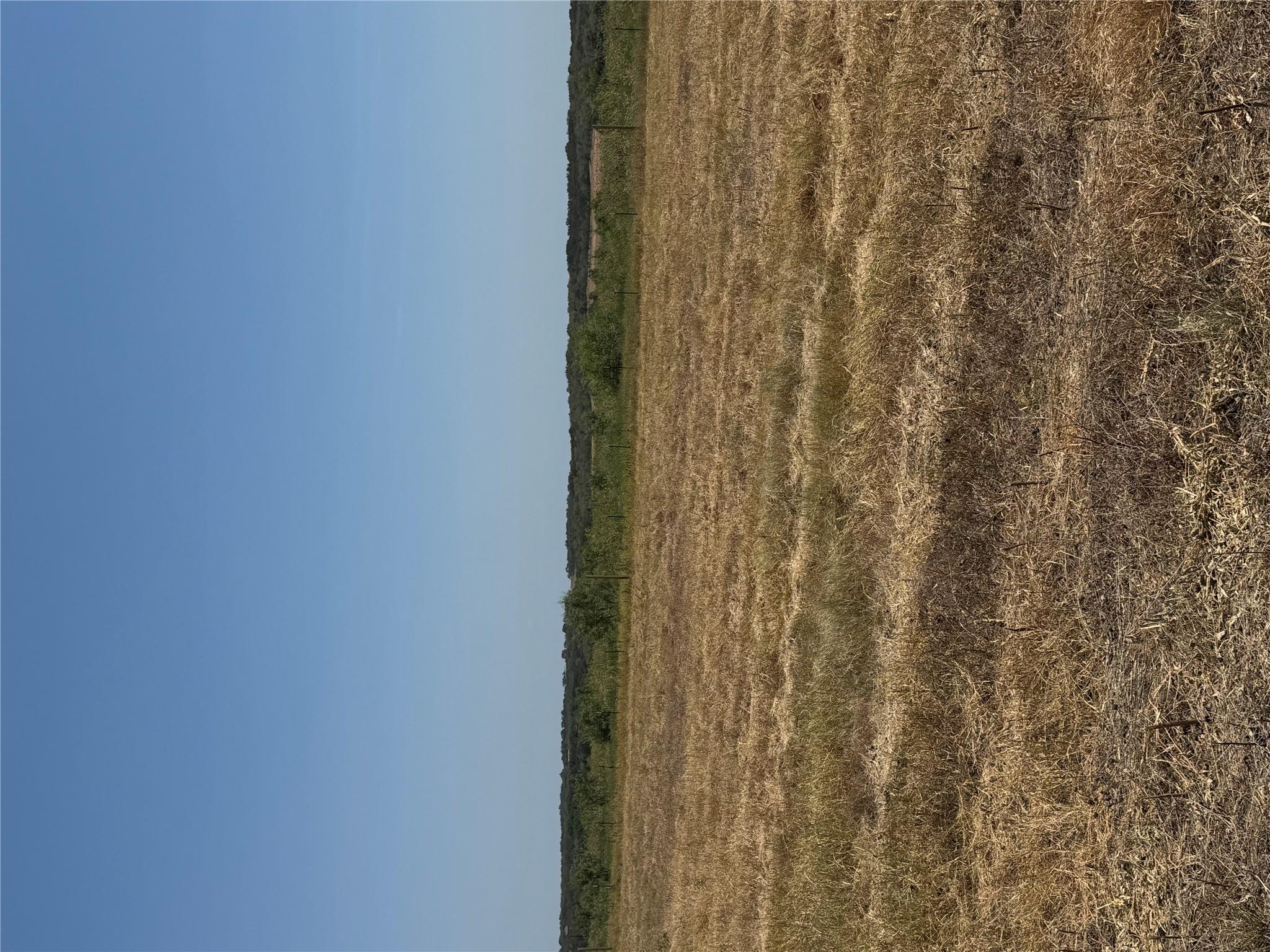 1875 County Road 273 None Property Photo 13