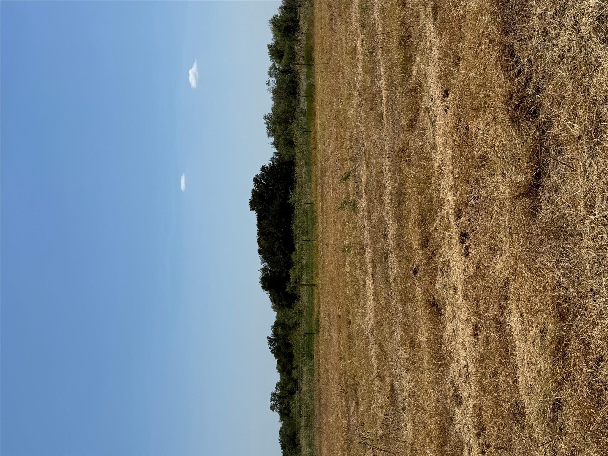 1875 County Road 273 None Property Photo 14