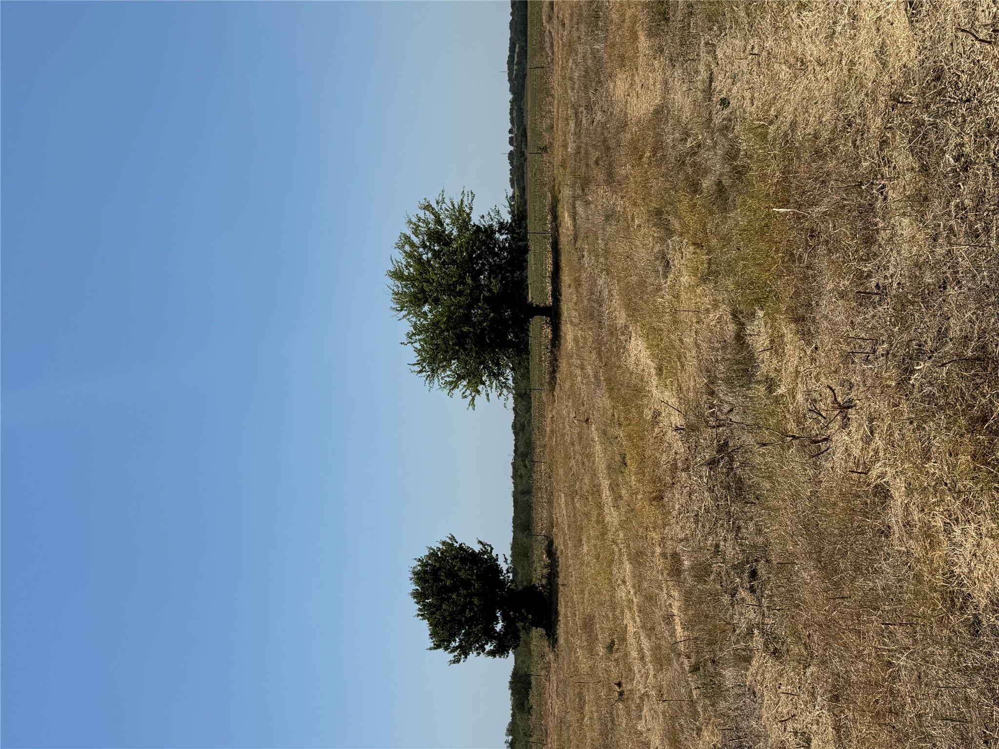 1875 County Road 273 None Property Photo 15