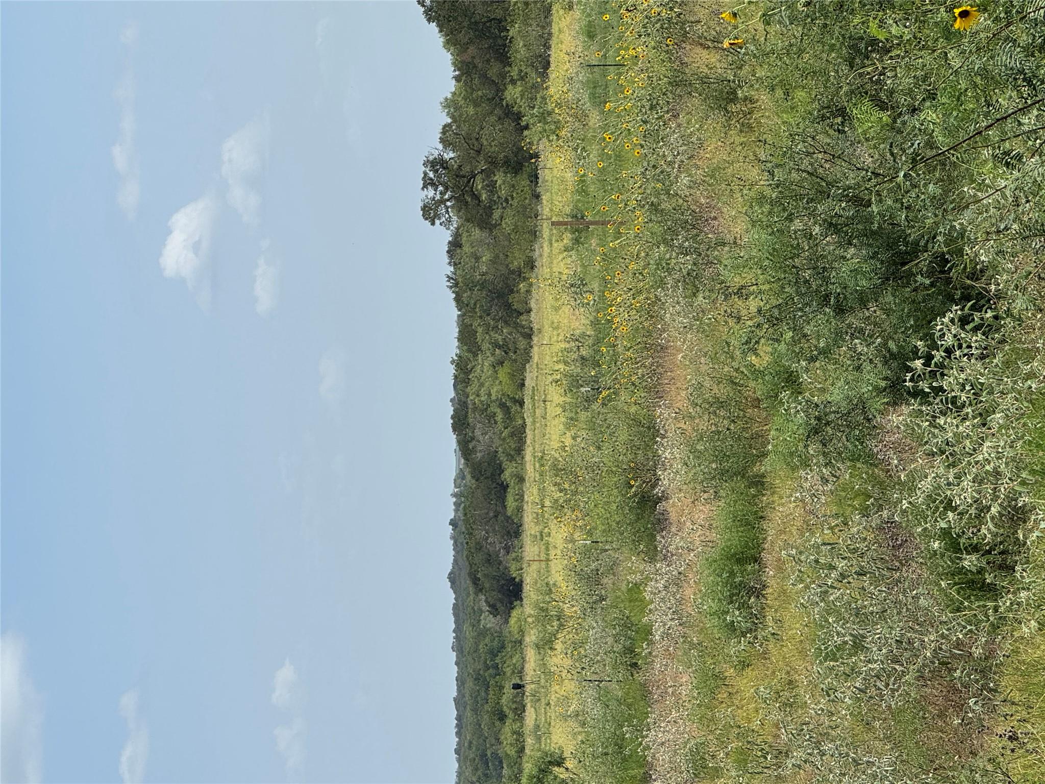 1875 County Road 273 None Property Photo 31