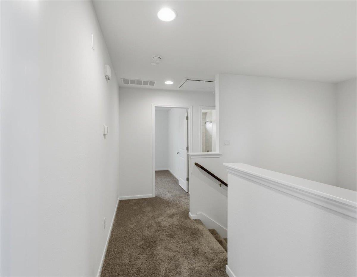 6407 Principale Dr Property Photo 18