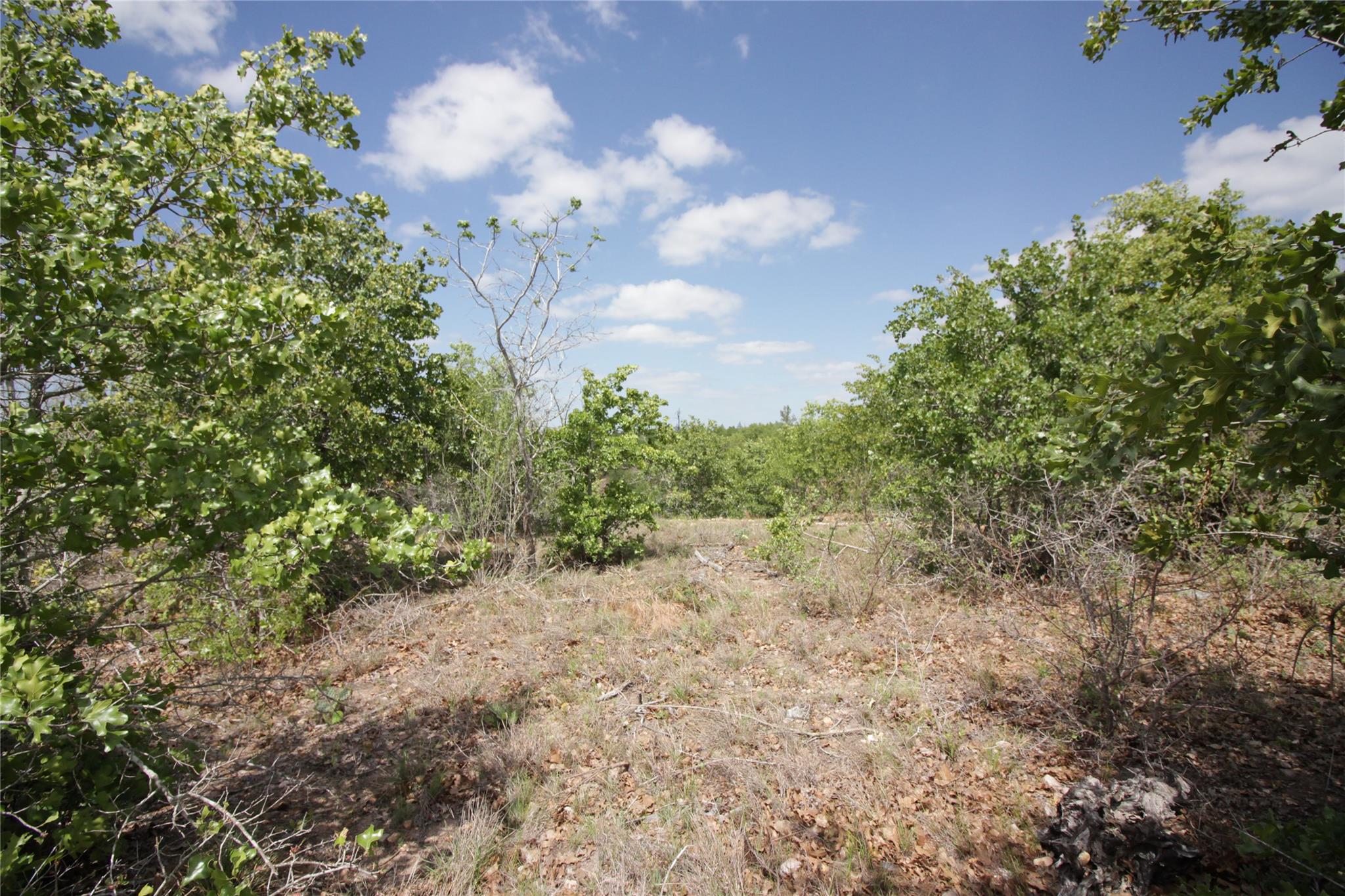 TBD River Forest Dr Property Photo 1