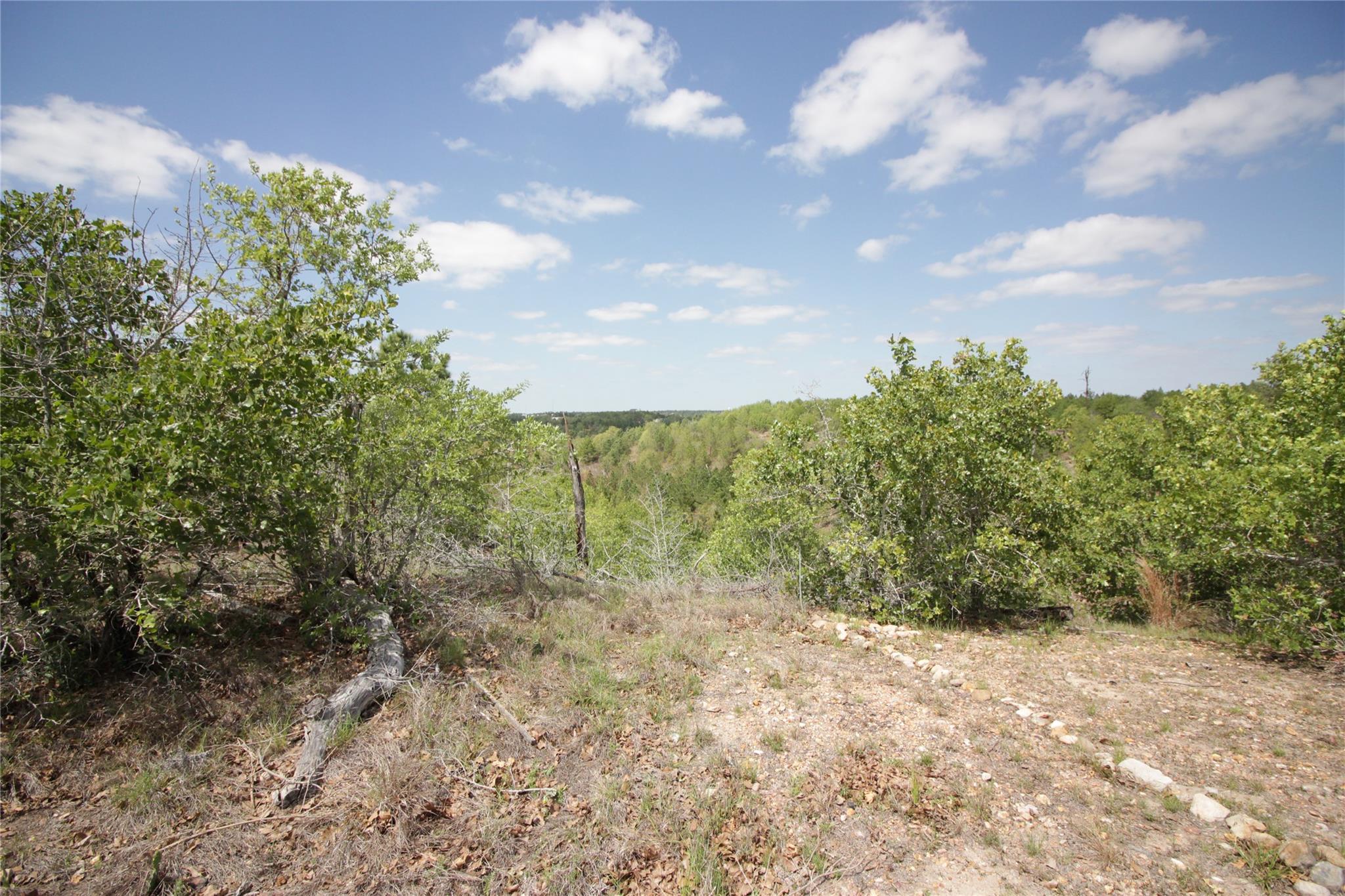 Tbd River Forest Dr Property Photo 2