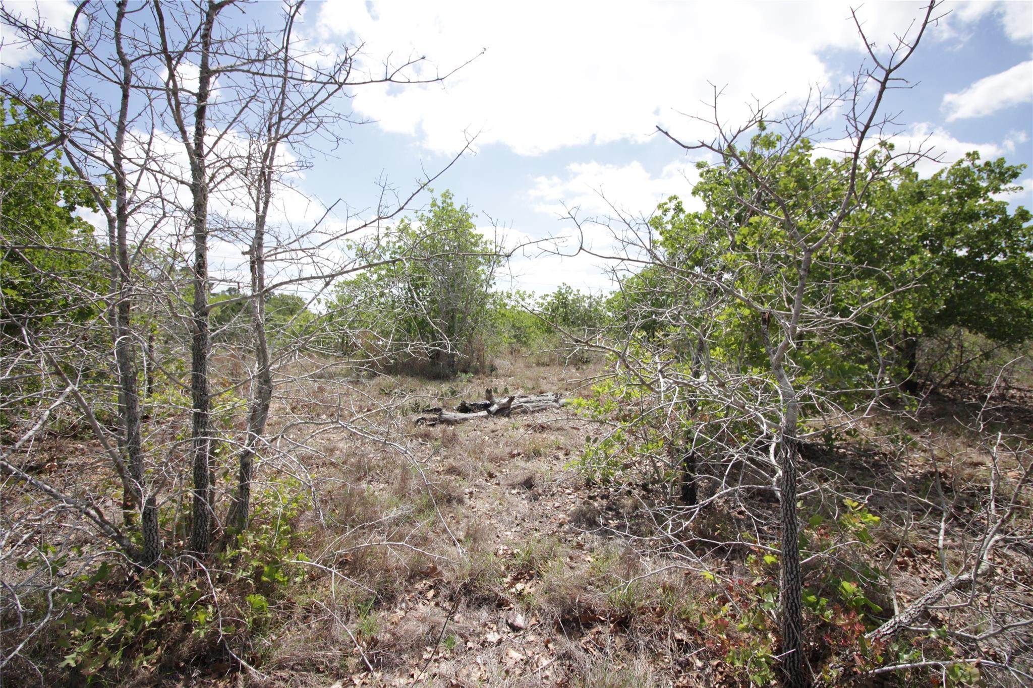 Tbd River Forest Dr Property Photo 3