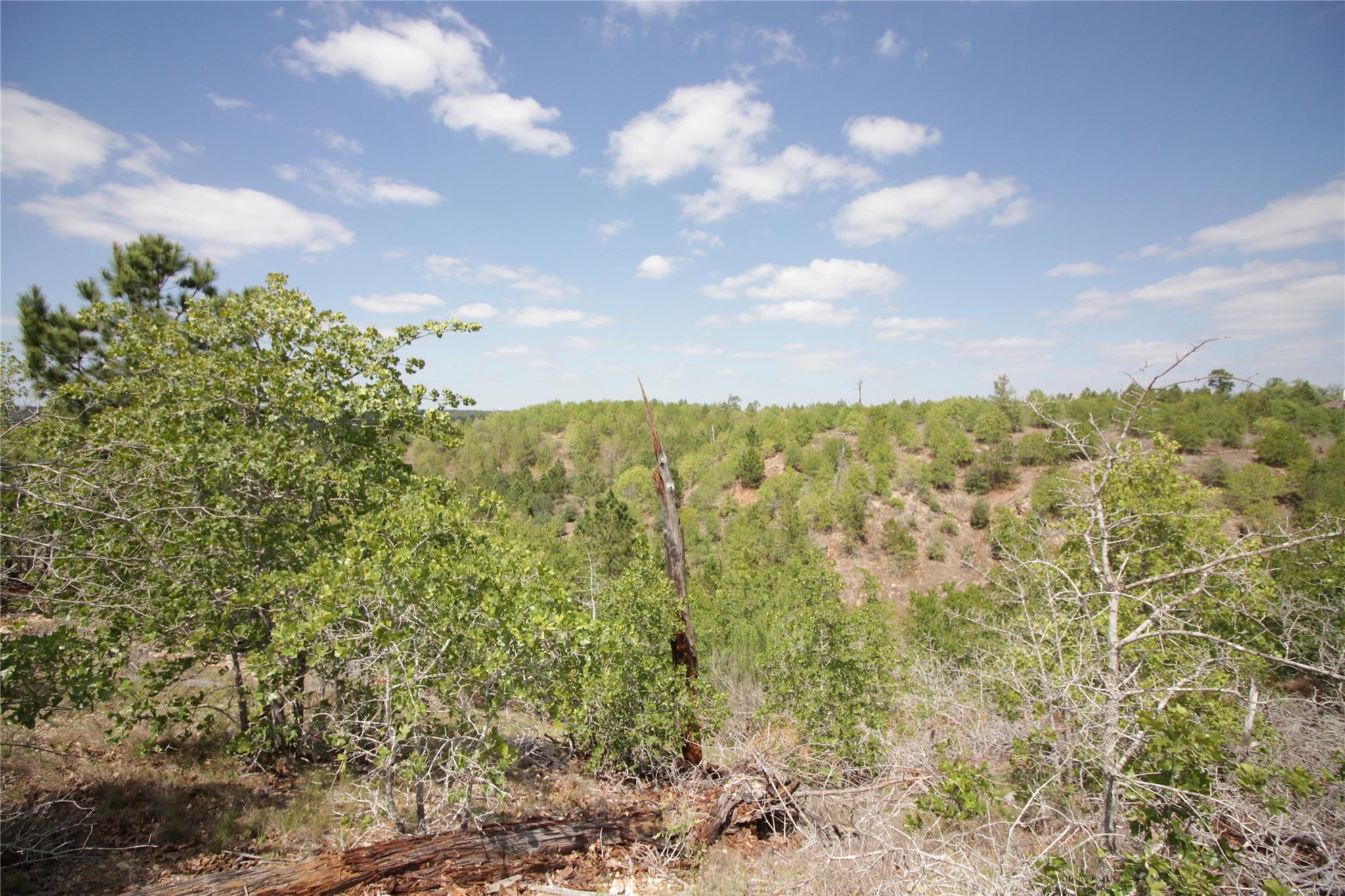 Tbd River Forest Dr Property Photo 4
