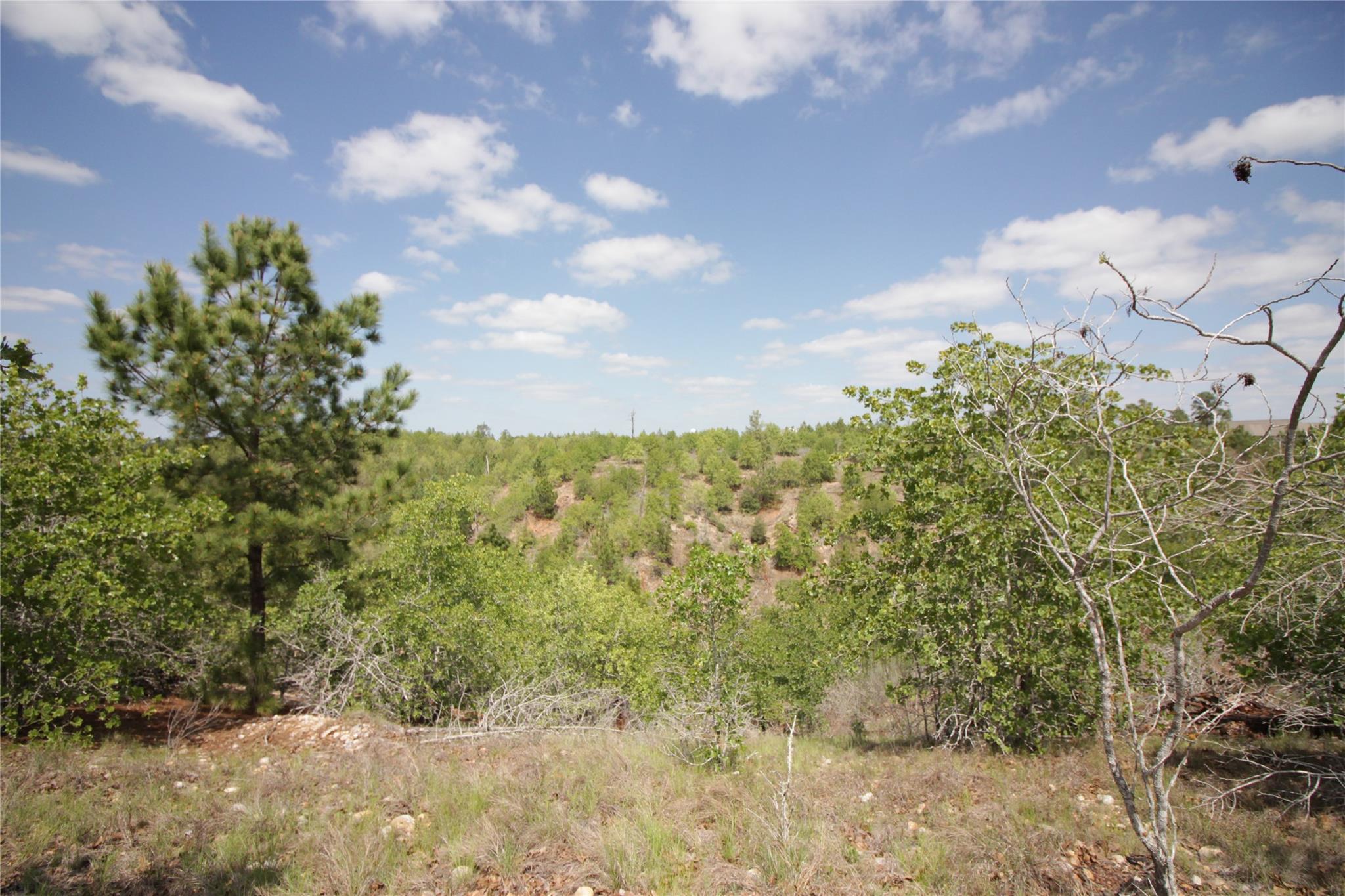 Tbd River Forest Dr Property Photo 5