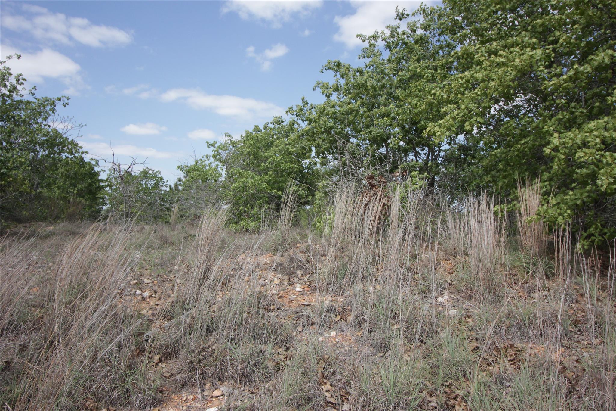Tbd River Forest Dr Property Photo 6