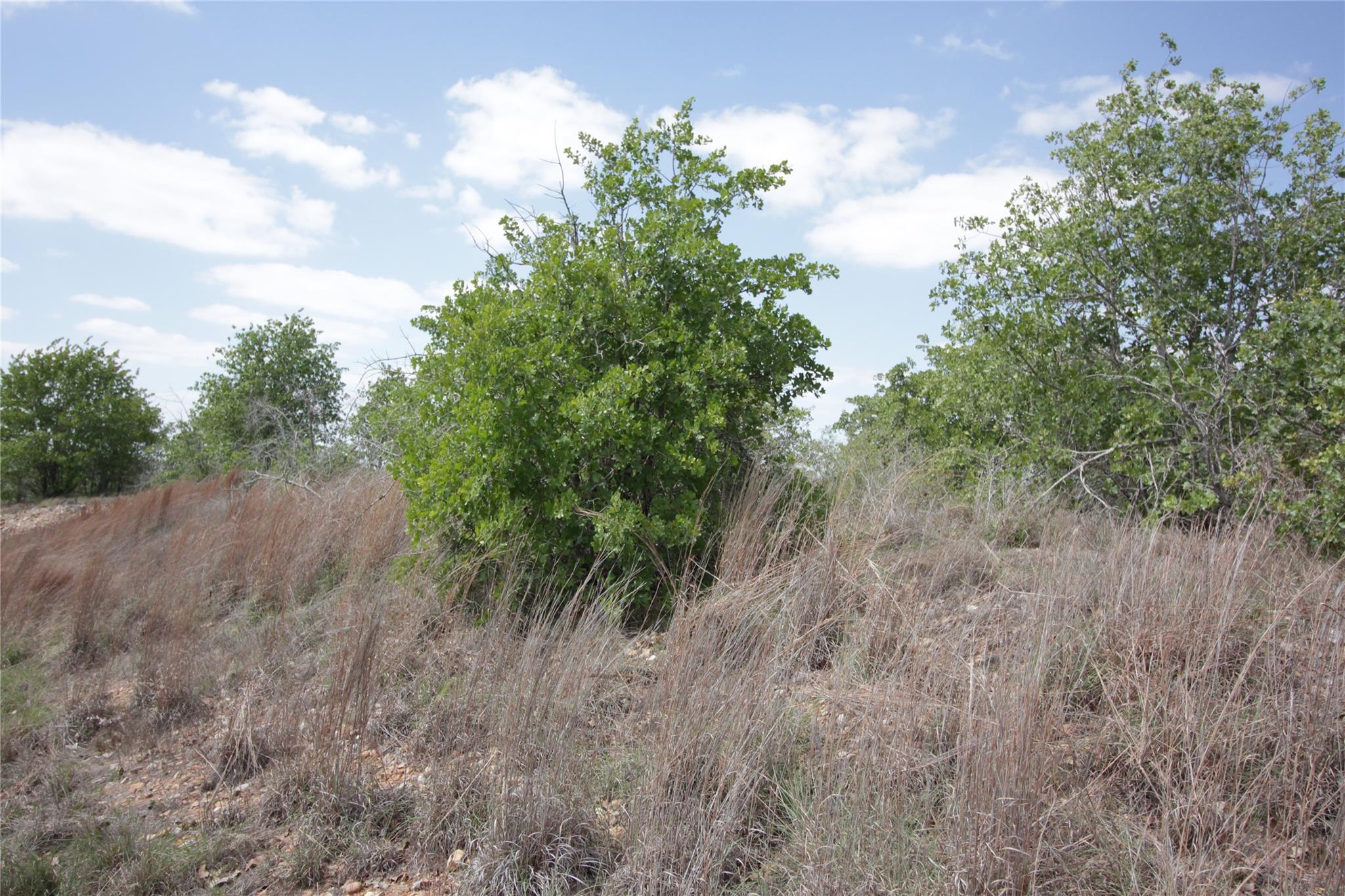 Tbd River Forest Dr Property Photo 7