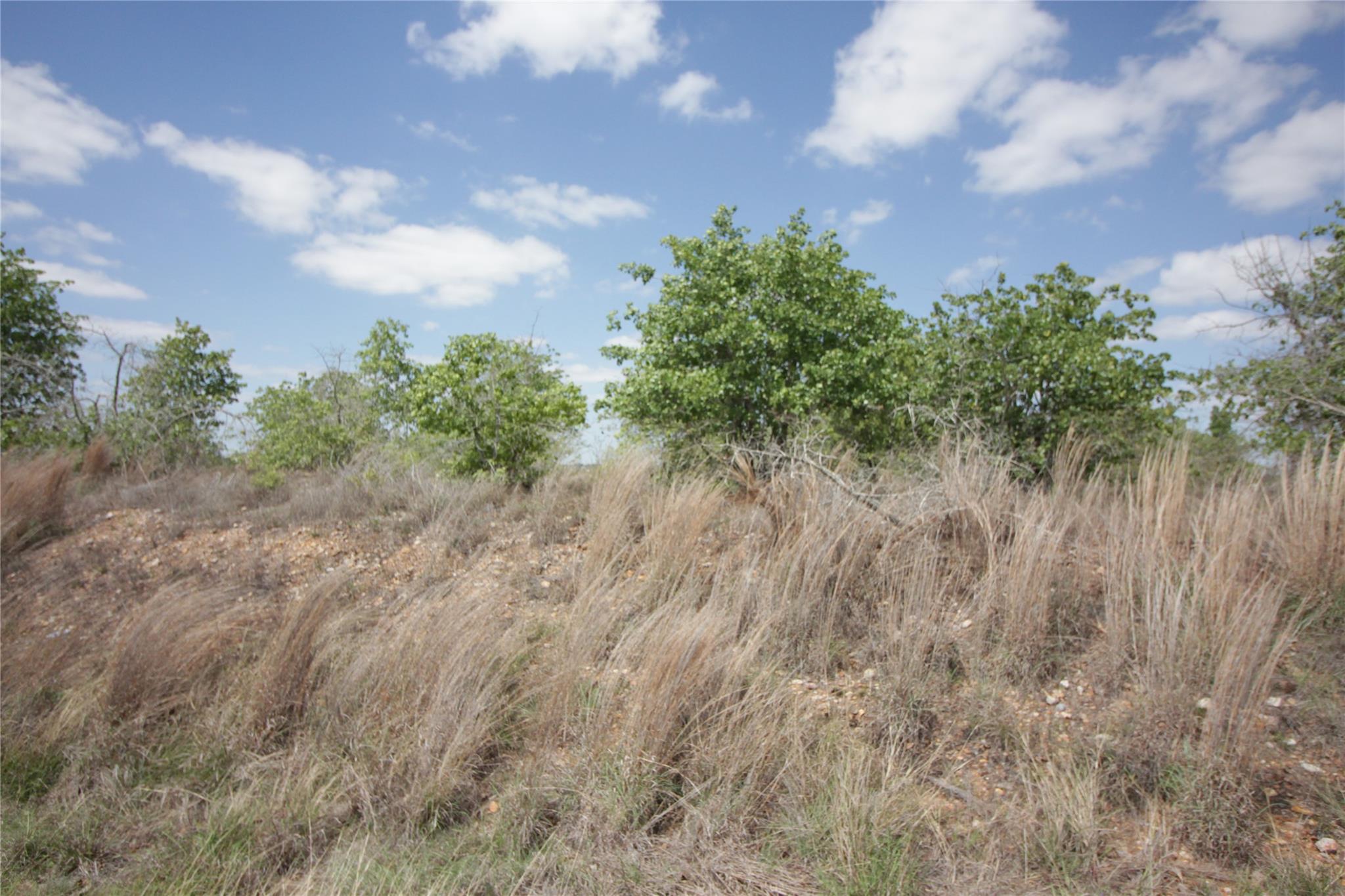 Tbd River Forest Dr Property Photo 8