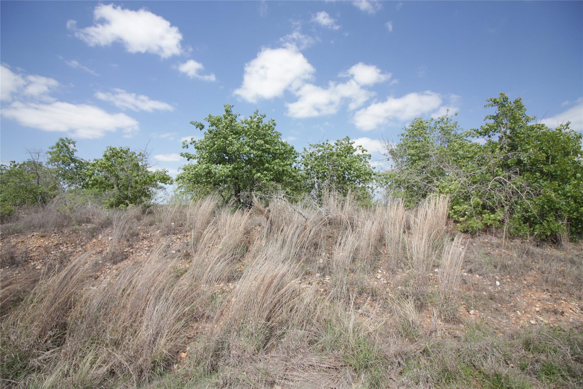 Tbd River Forest Dr Property Photo 9