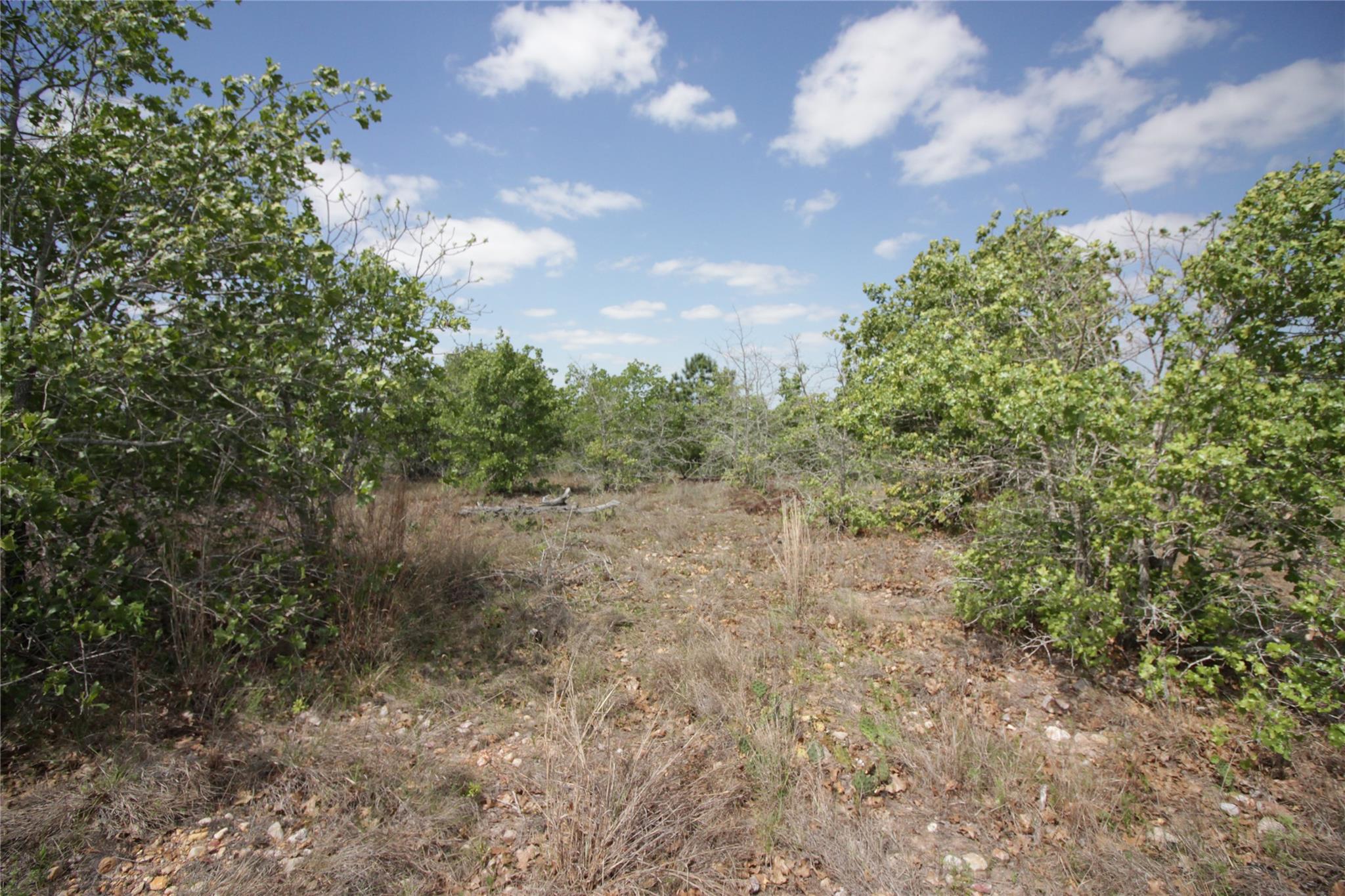 Tbd River Forest Dr Property Photo 10