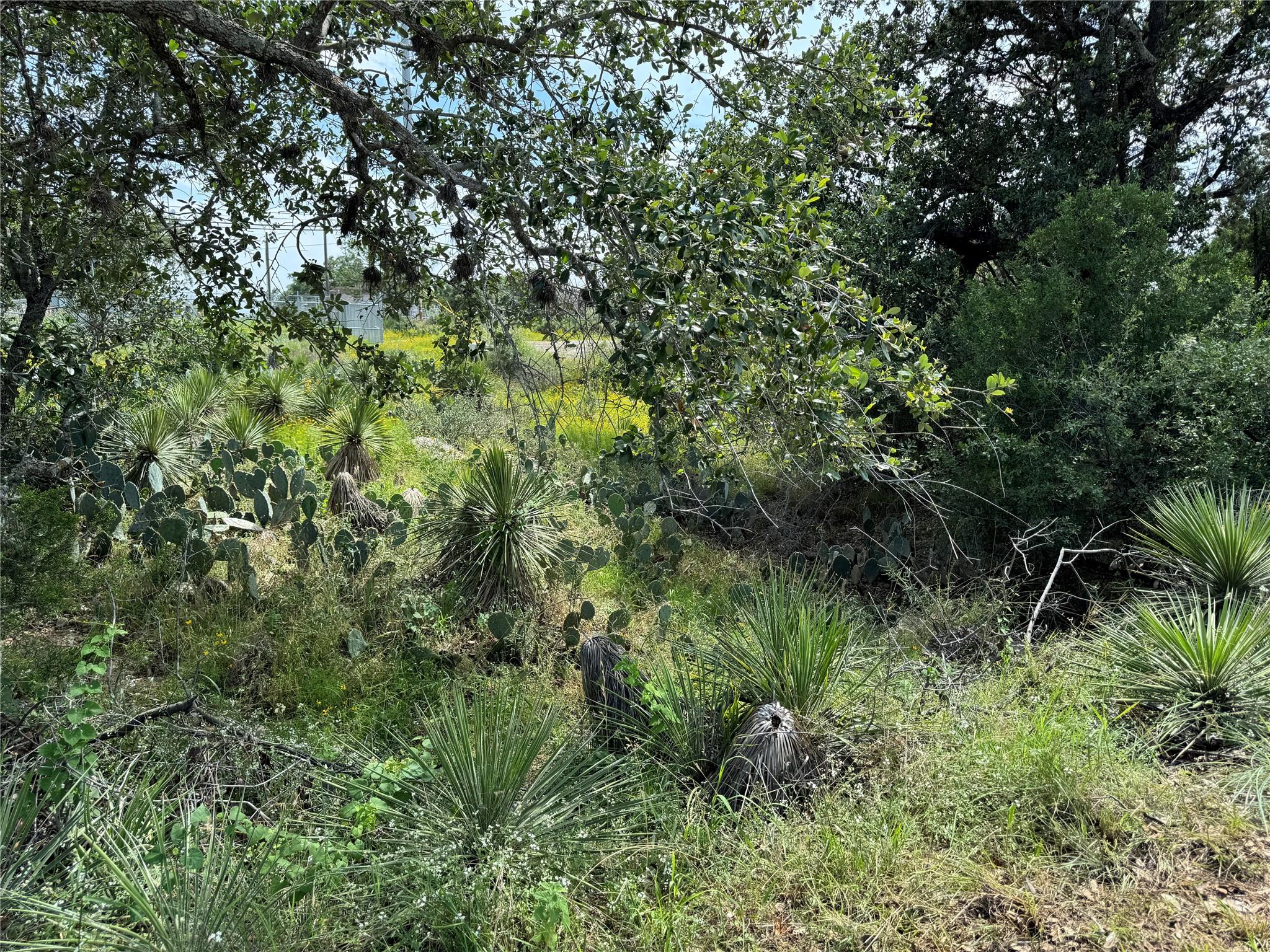 Pid 17064 Sweetbriar Dr Property Photo 2