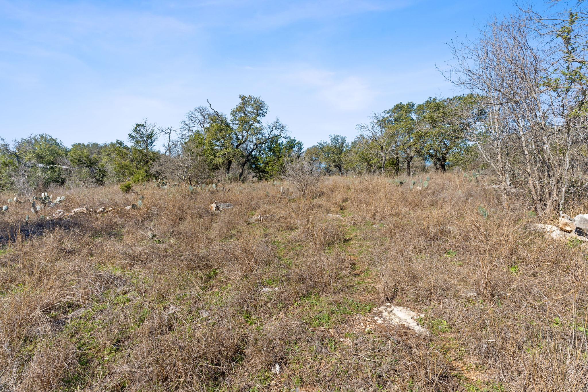 24200 Spur Trl Property Photo 5