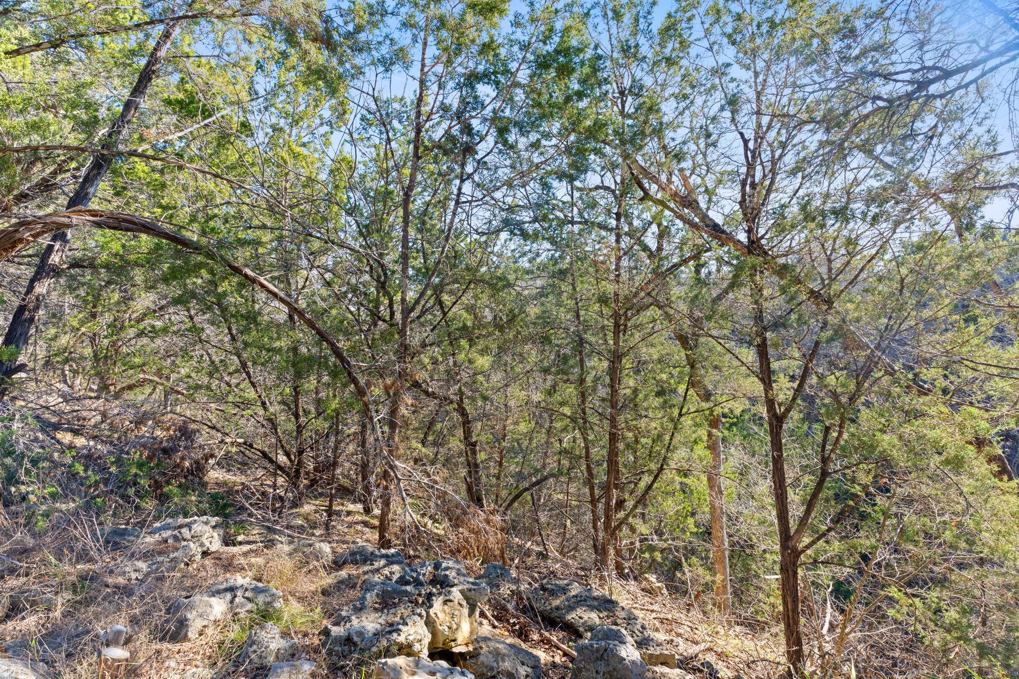 24200 Spur Trl Property Photo 9