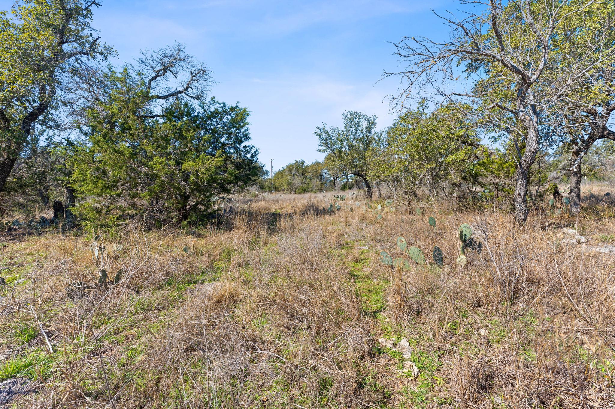 24200 Spur Trl Property Photo 16